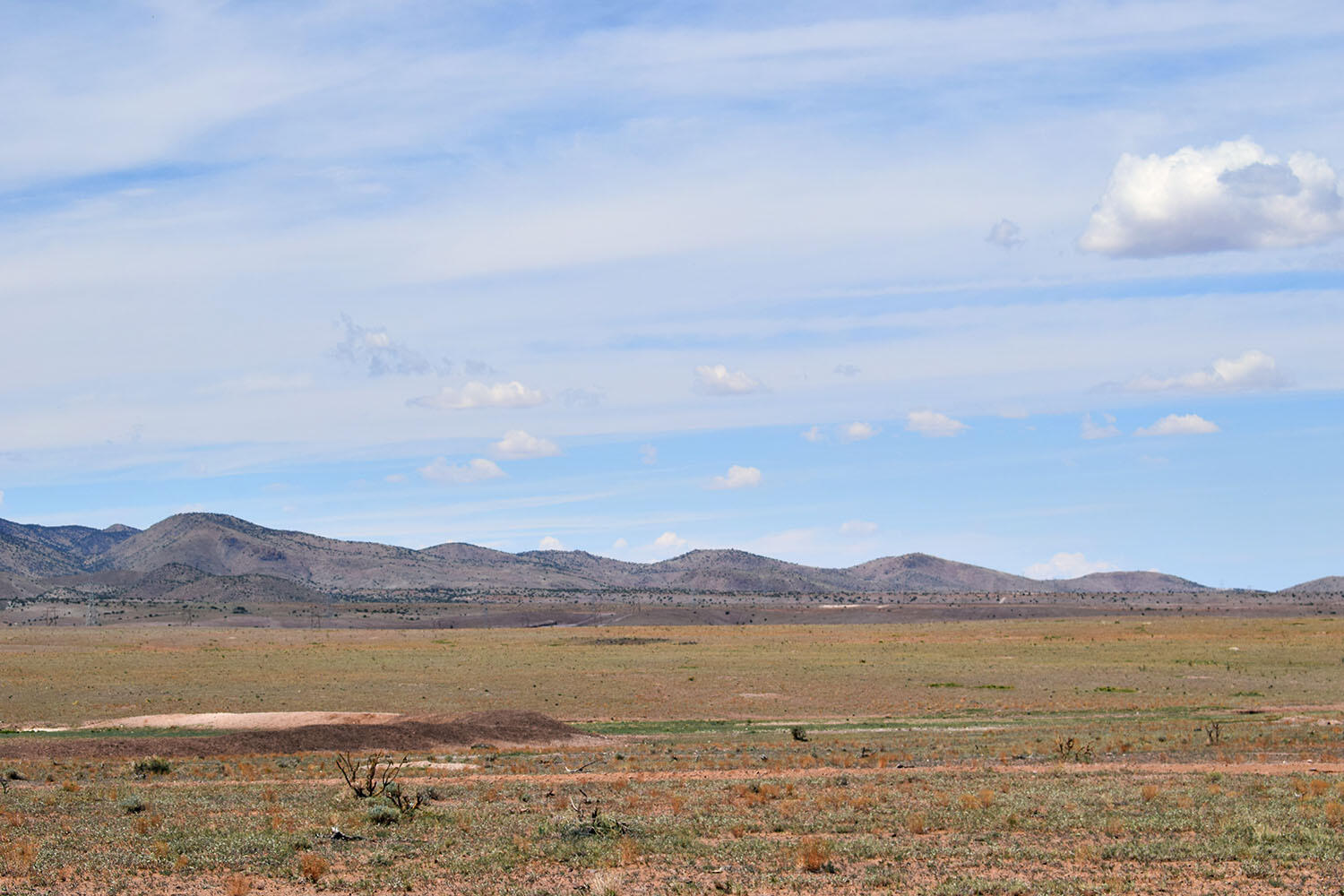 13 Roadrunner Road
