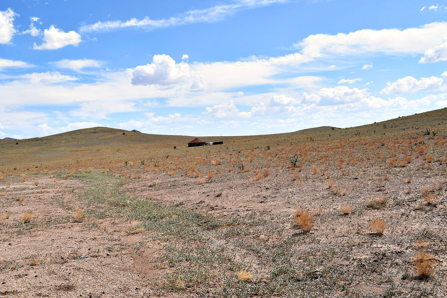 13 Roadrunner Road