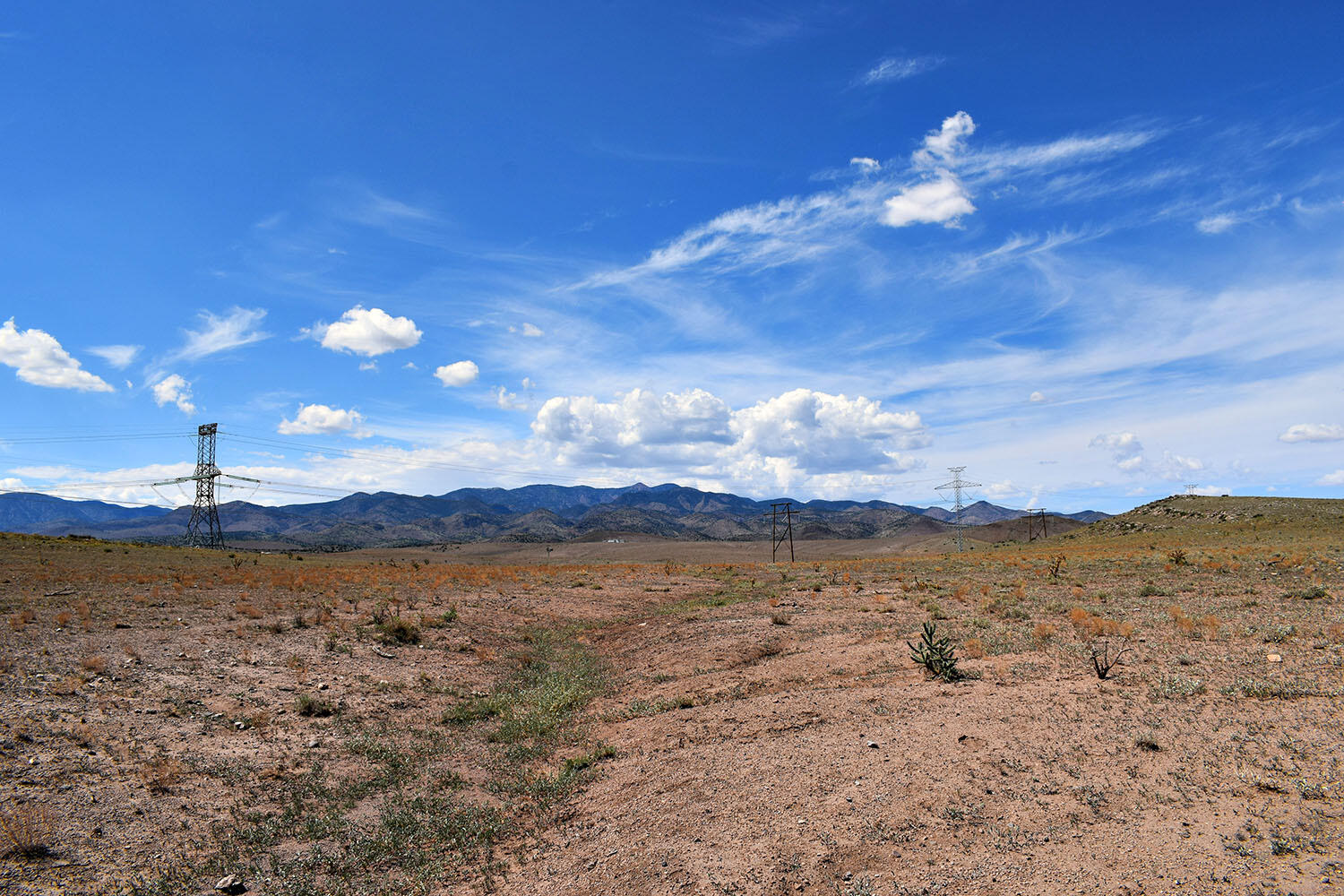 13 Roadrunner Road