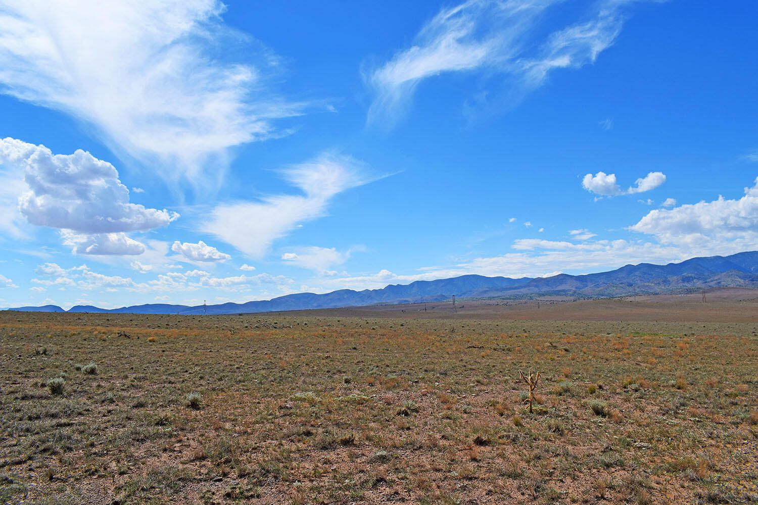 13 Roadrunner Road