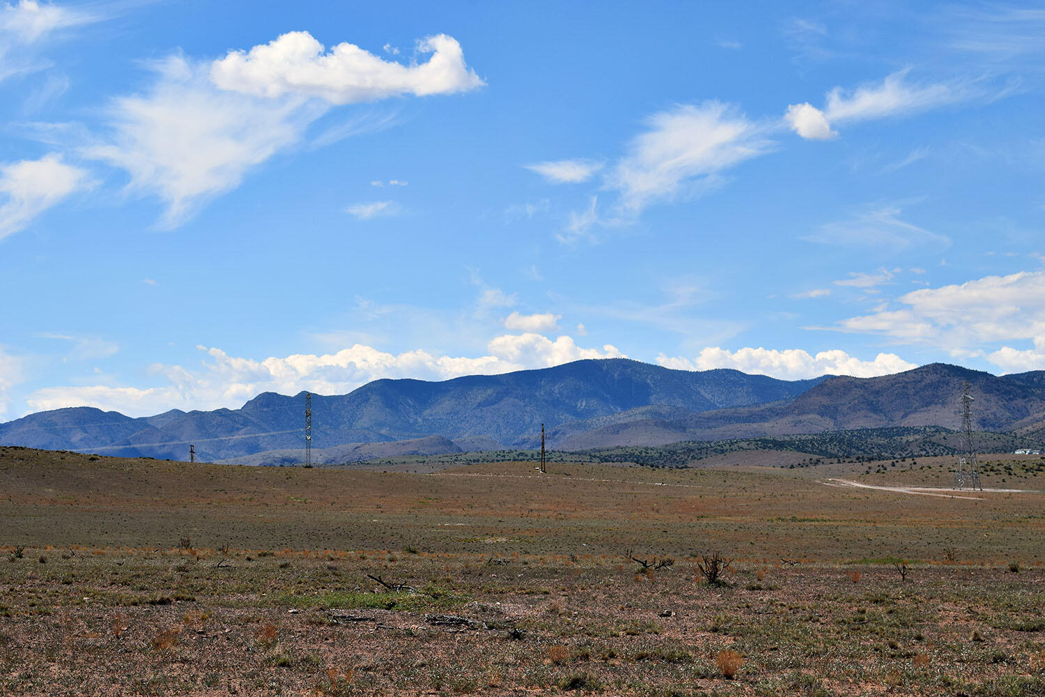 13 Roadrunner Road