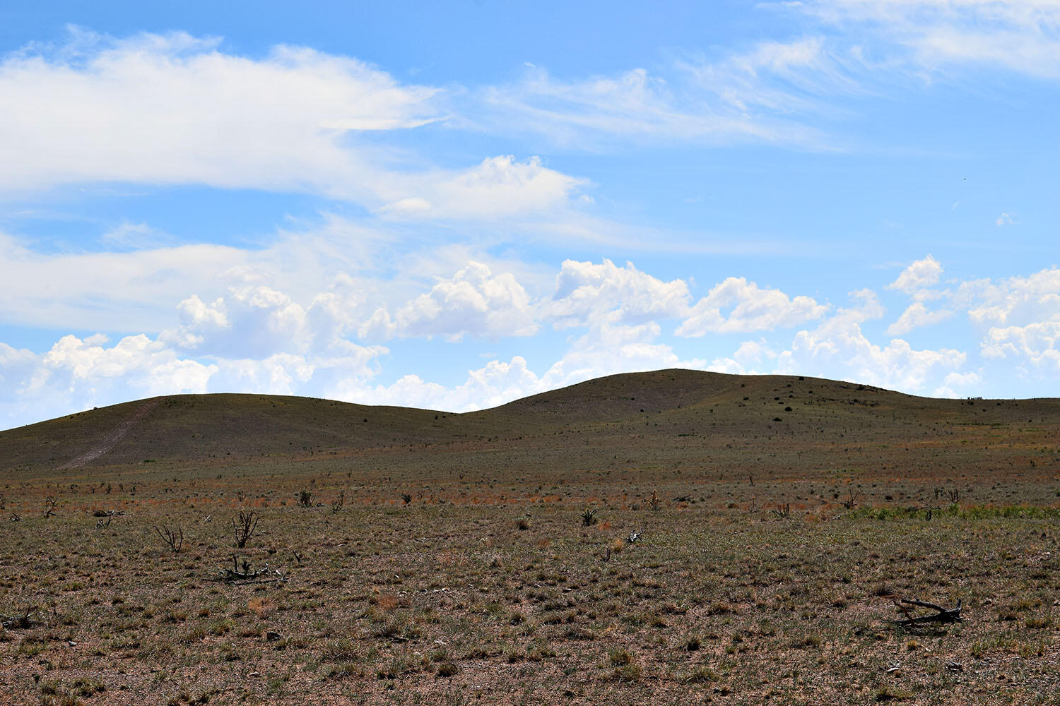 13 Roadrunner Road