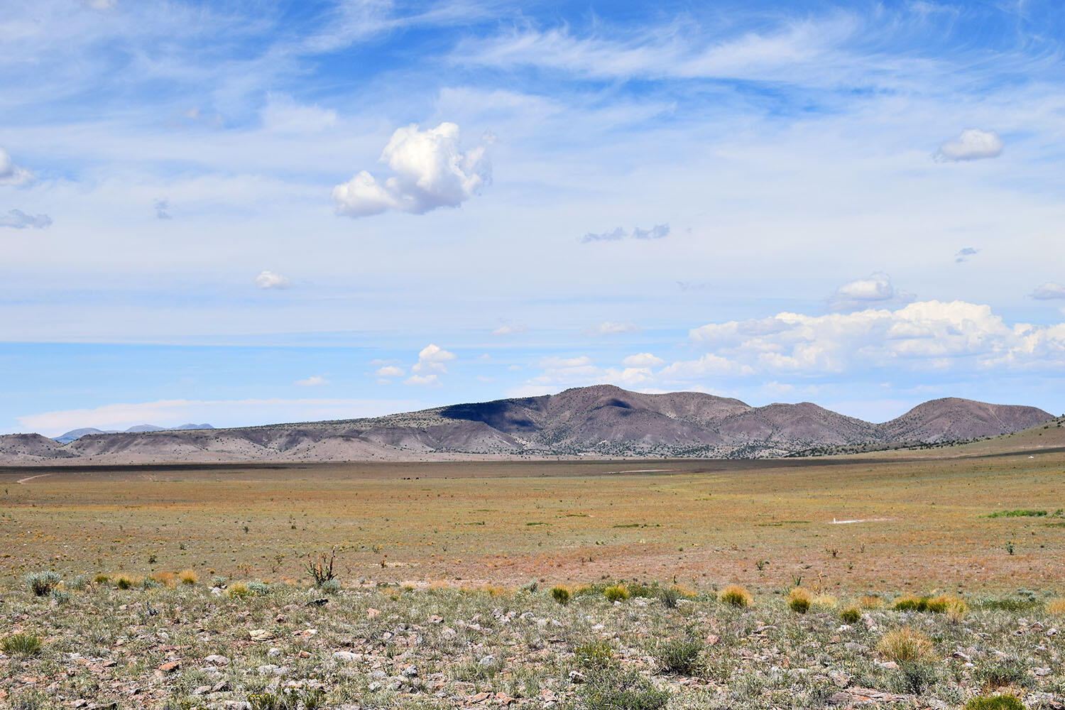 13 Roadrunner Road