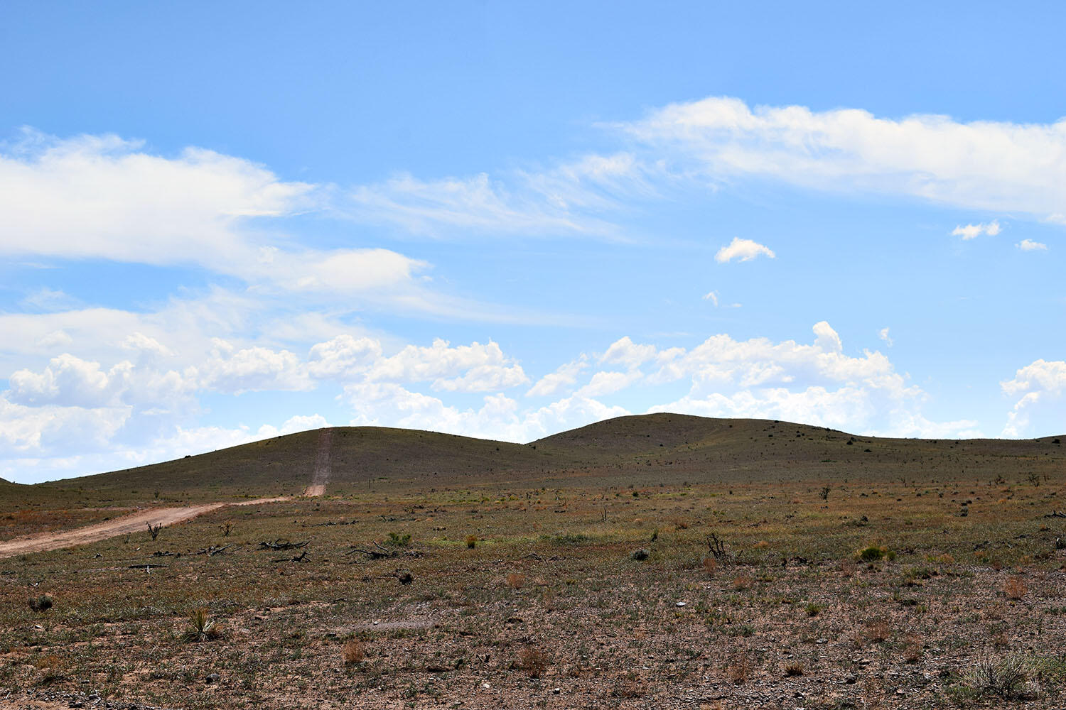 13 Roadrunner Road