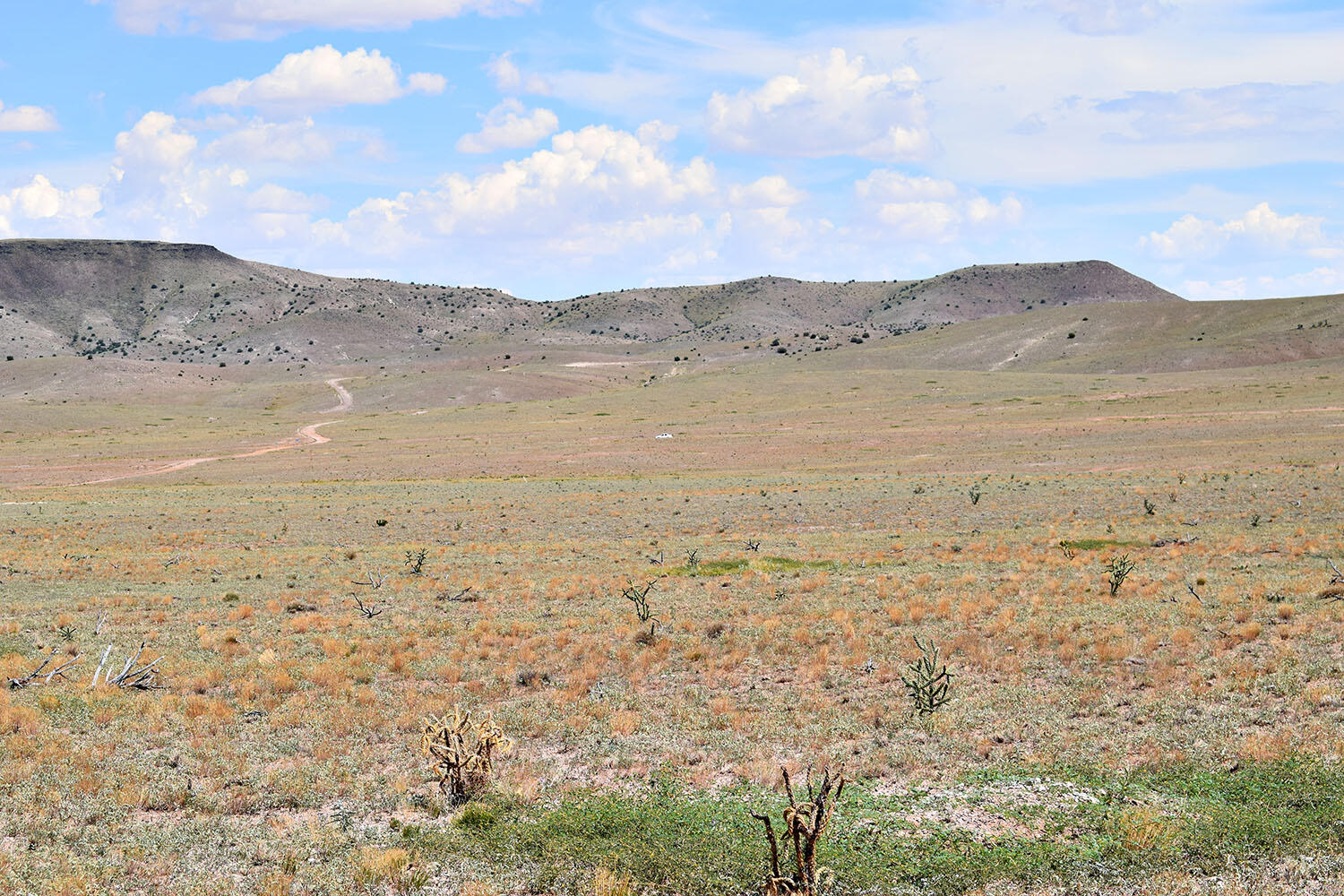 13 Roadrunner Road