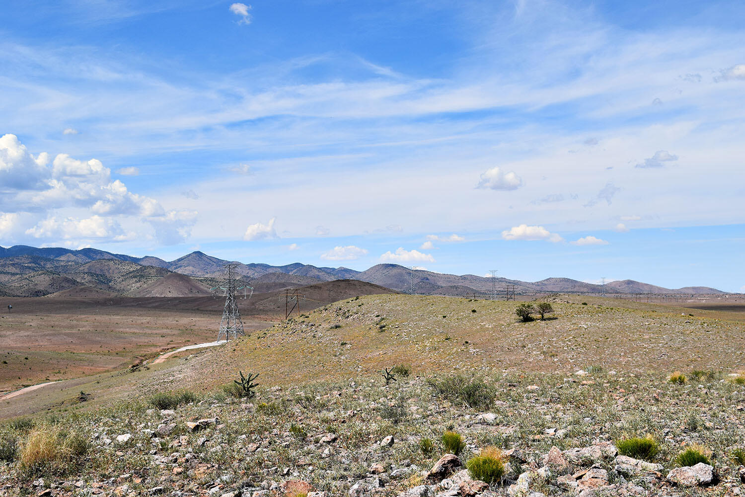 13 Roadrunner Road