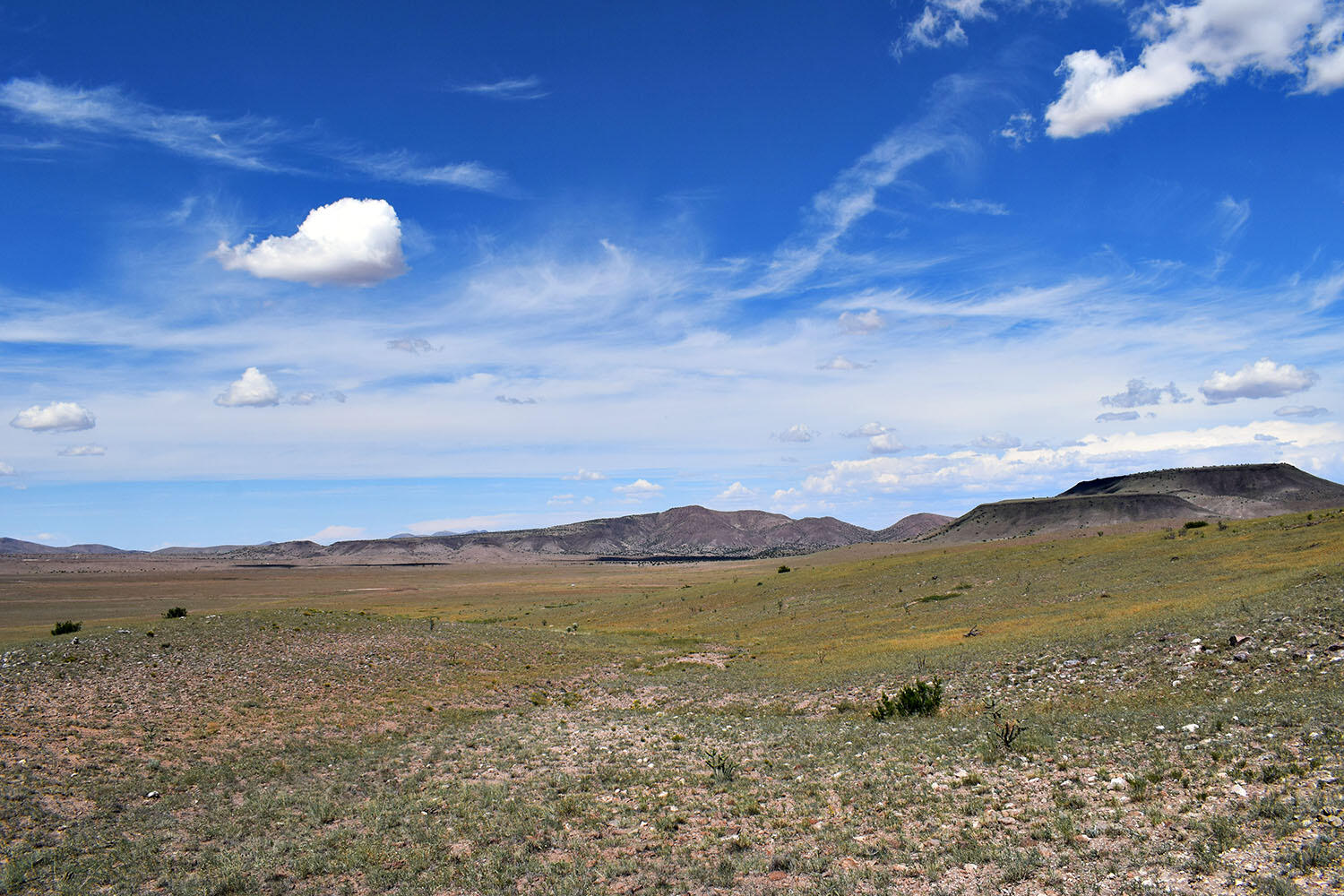 13 Roadrunner Road