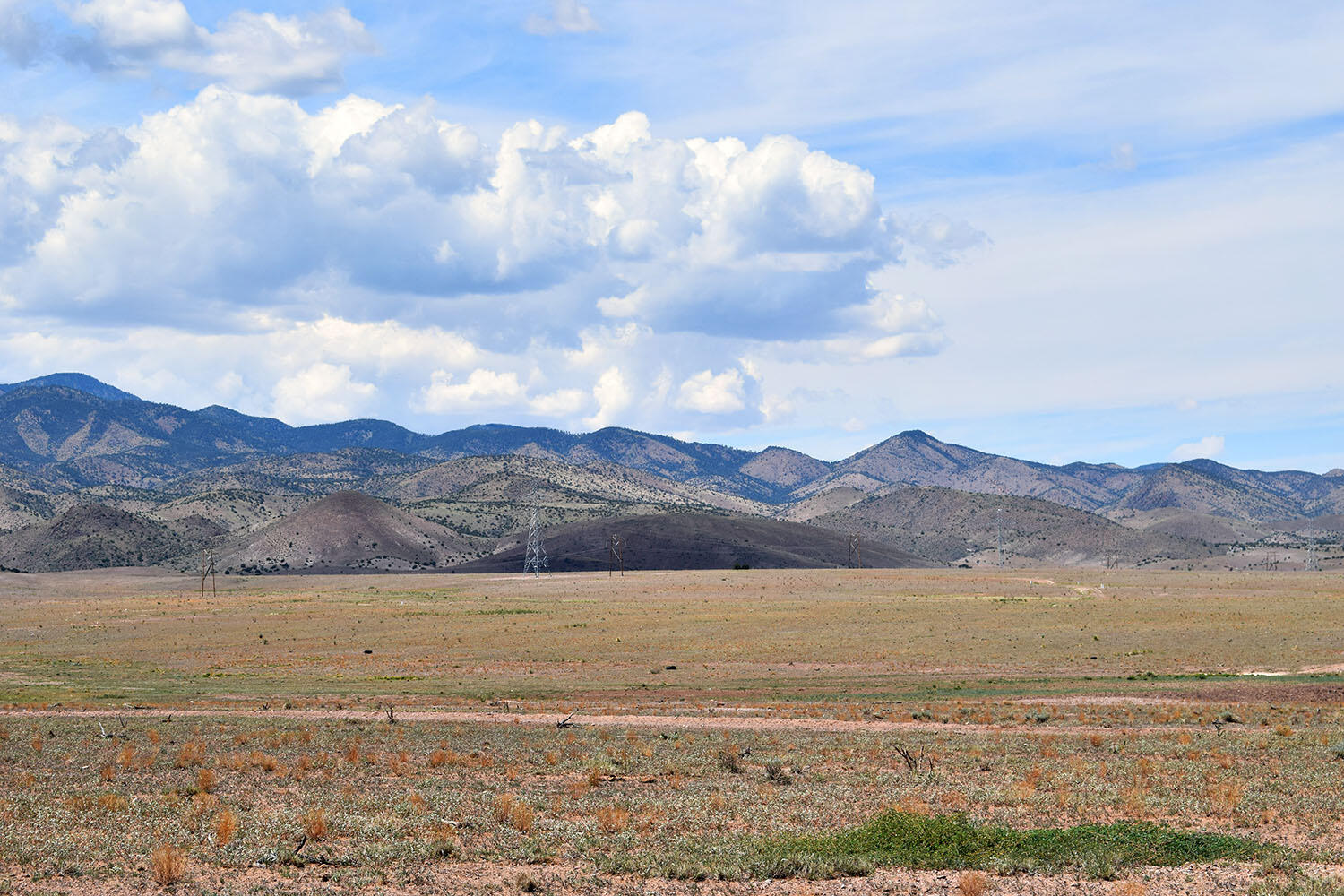 13 Roadrunner Road