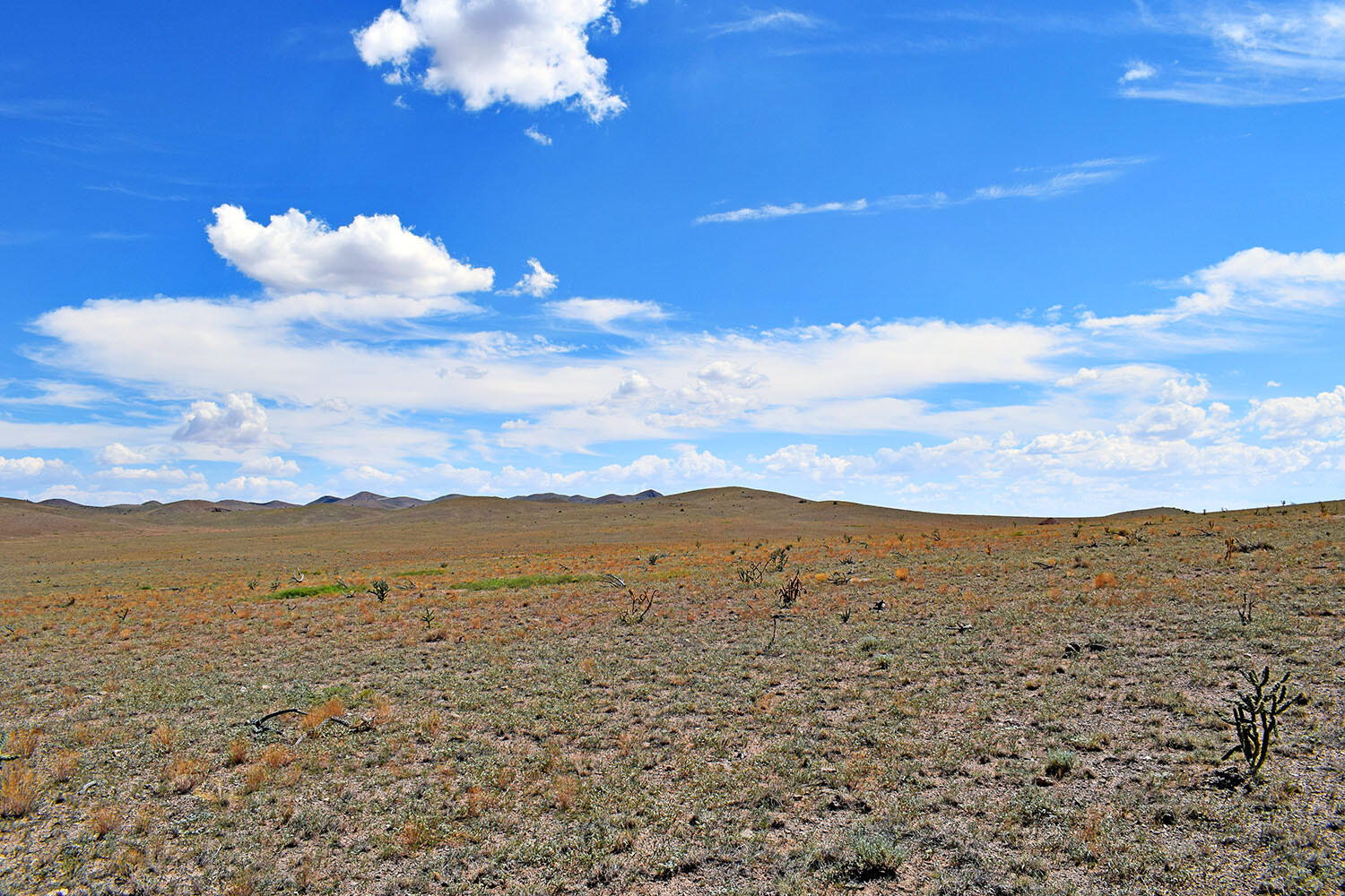 13 Roadrunner Road