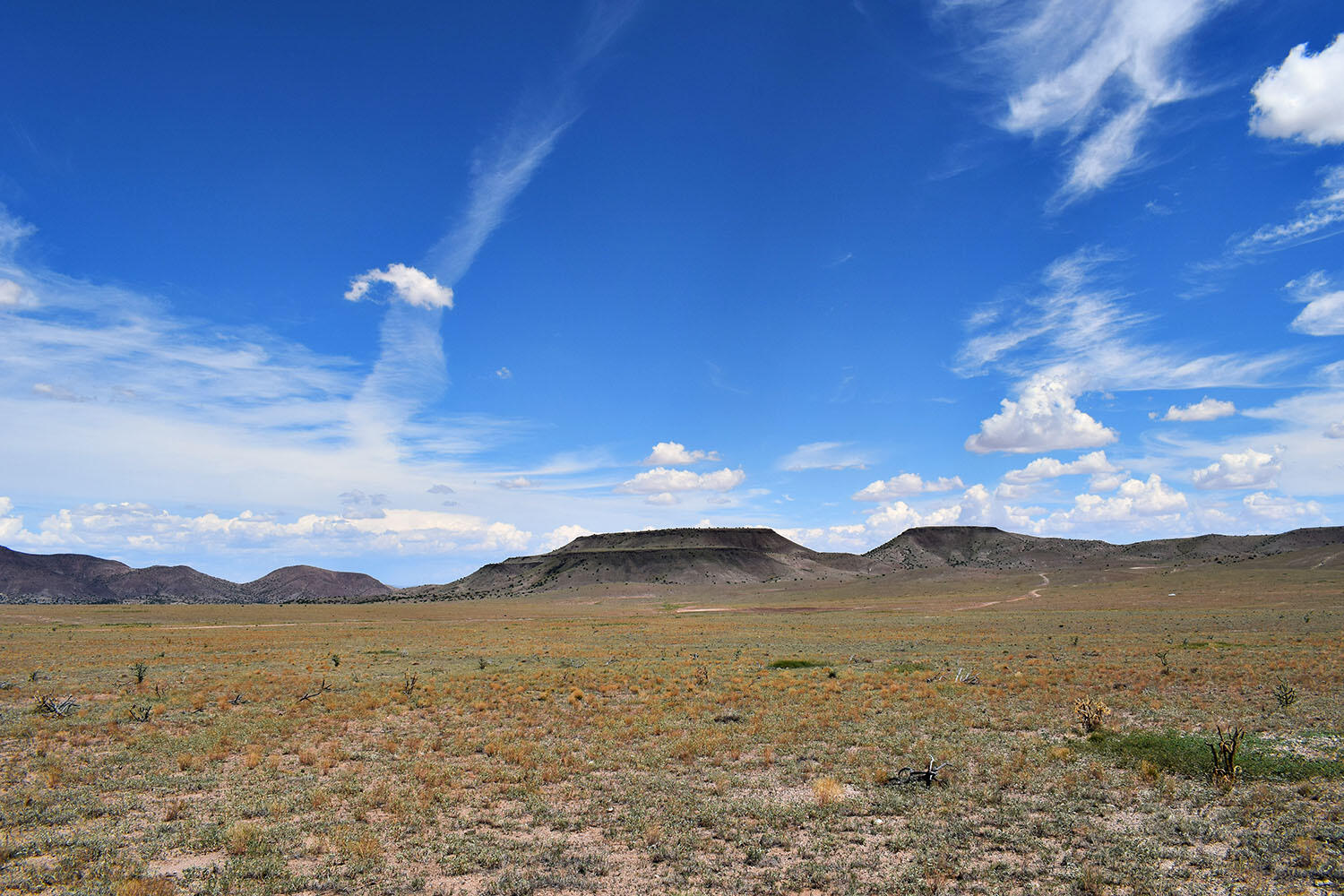13 Roadrunner Road