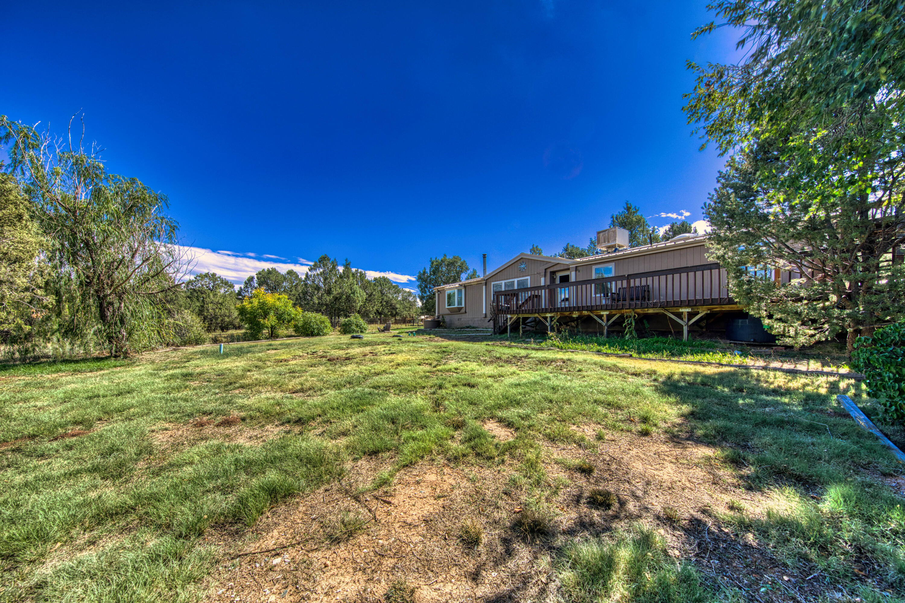 143 HOLLI Loop