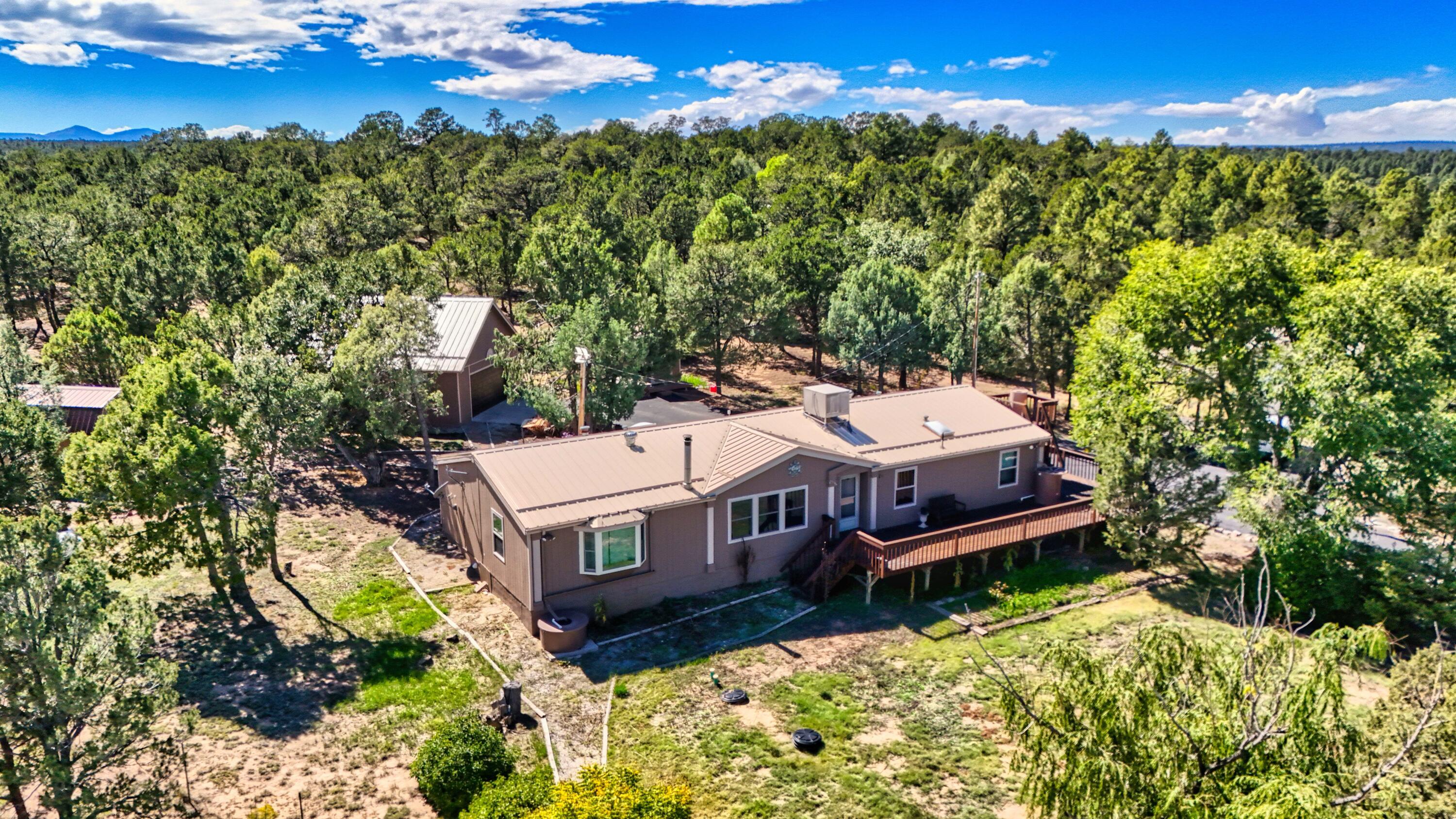 143 HOLLI Loop