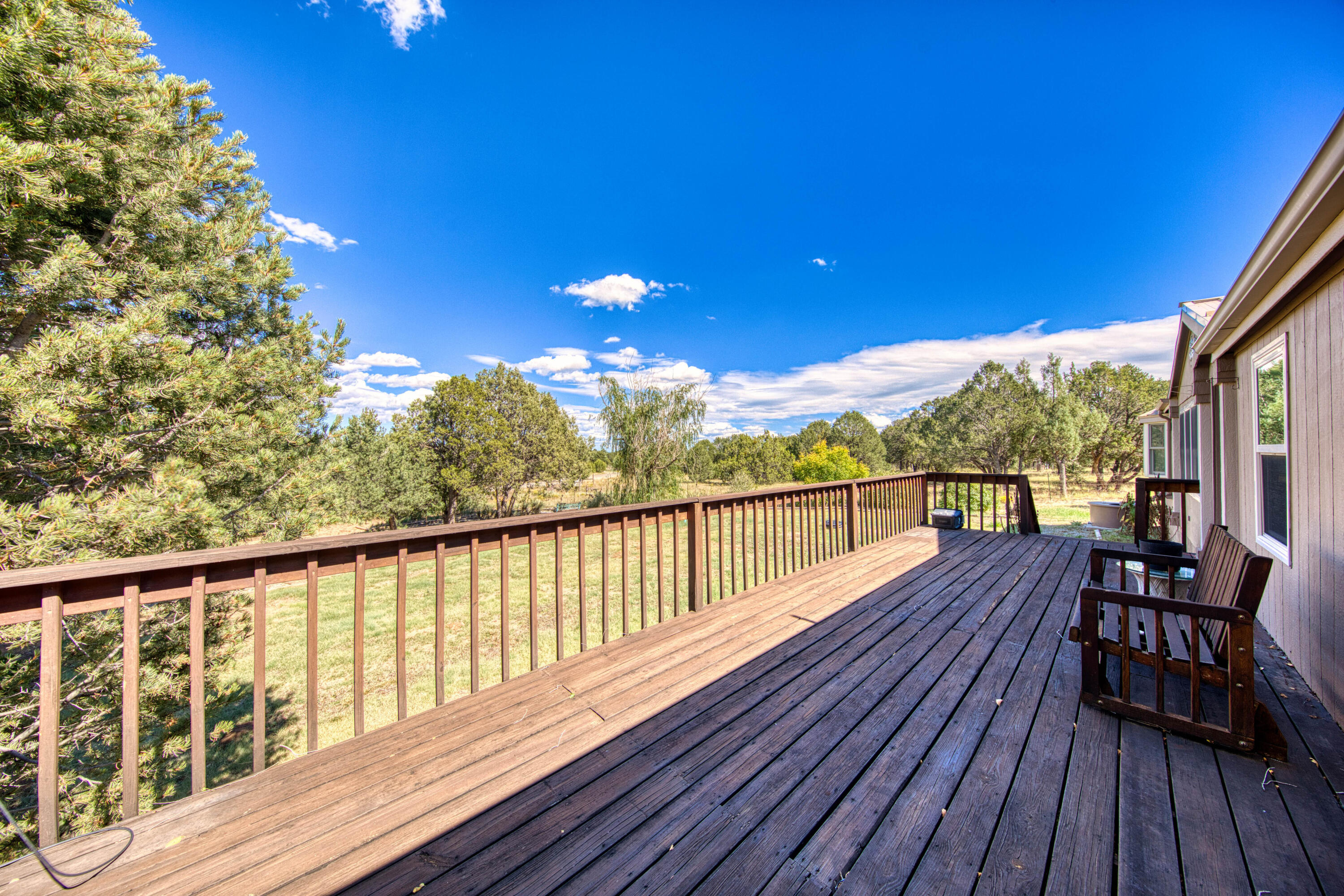 143 HOLLI Loop