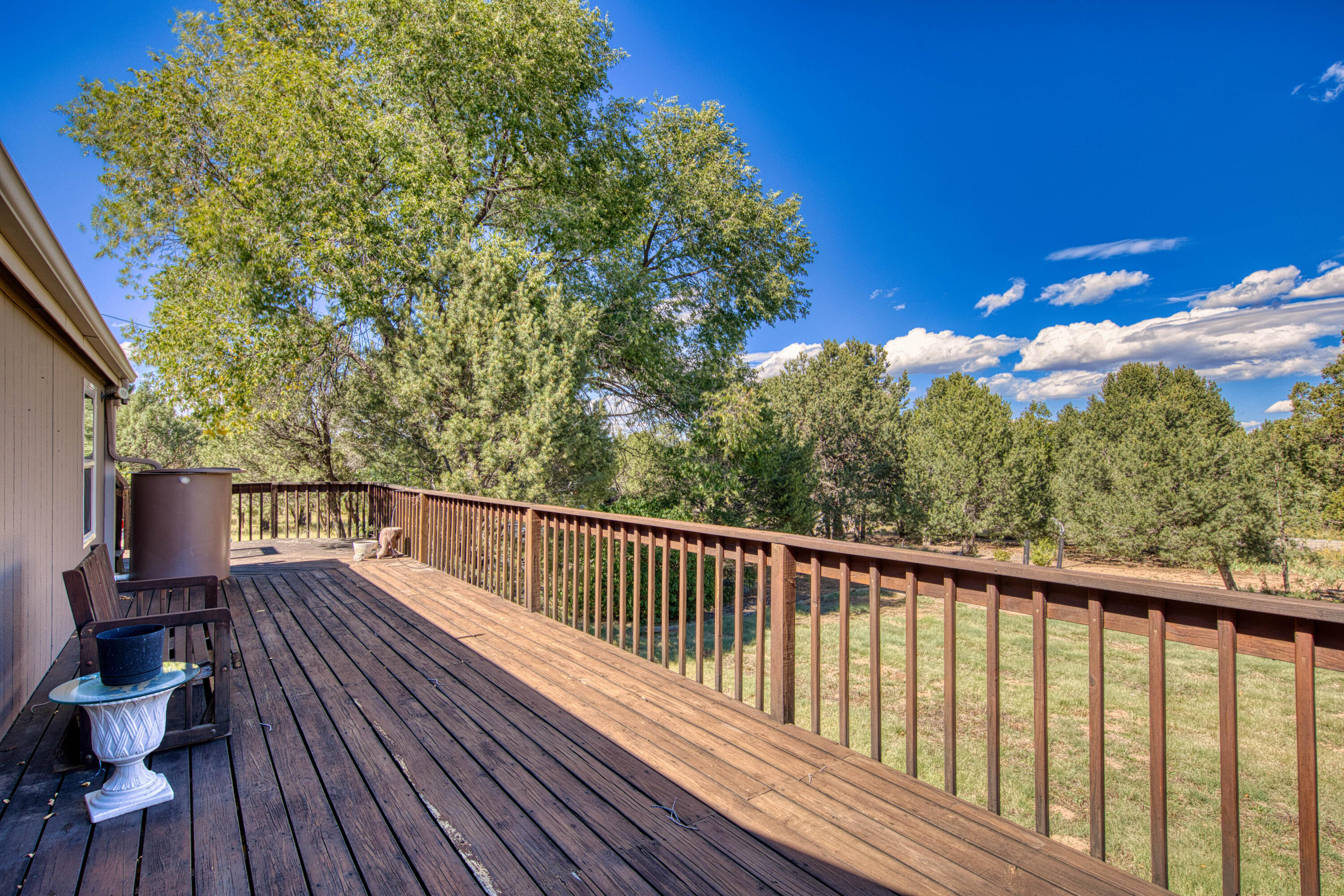 143 HOLLI Loop