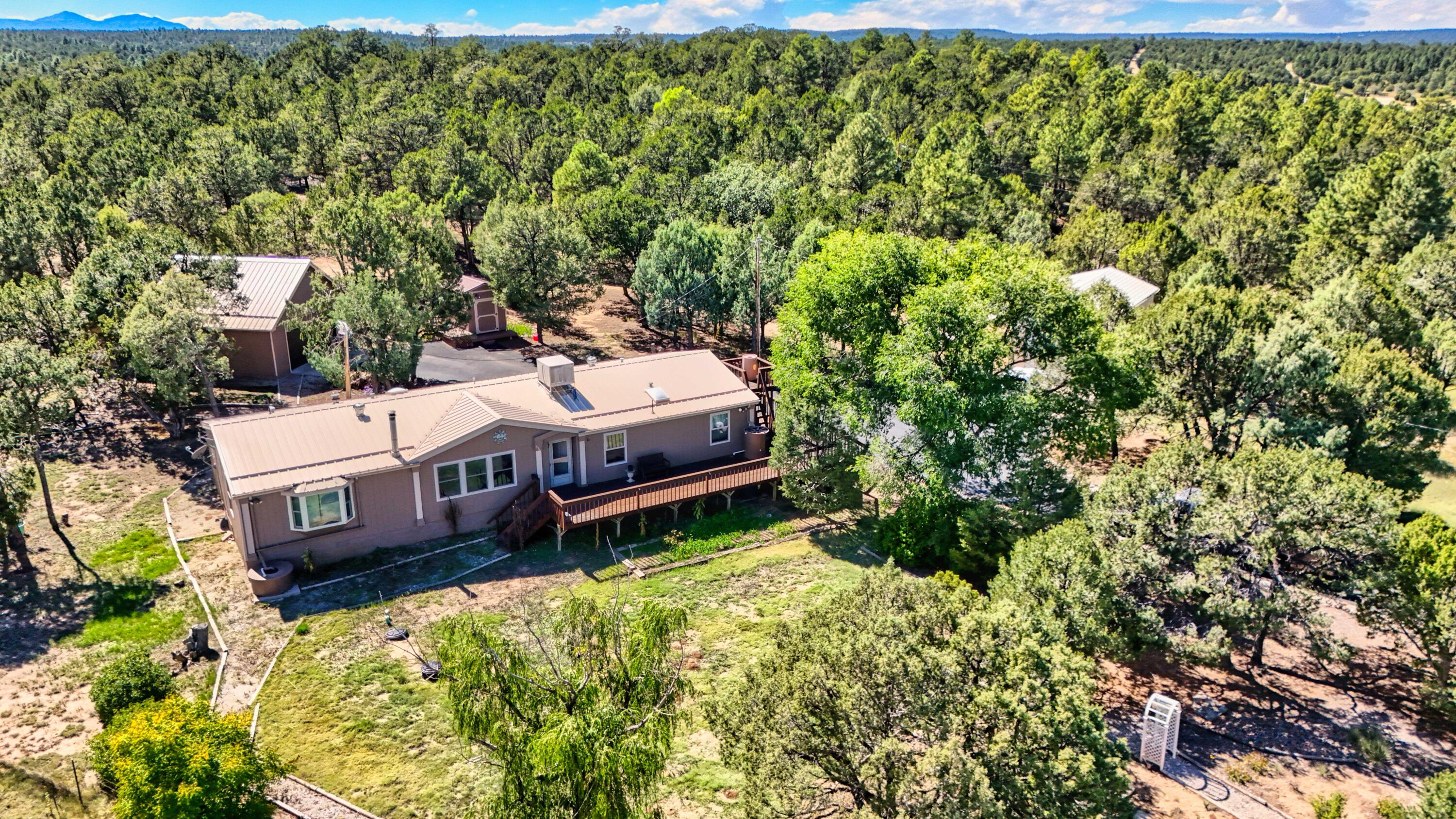 143 HOLLI Loop