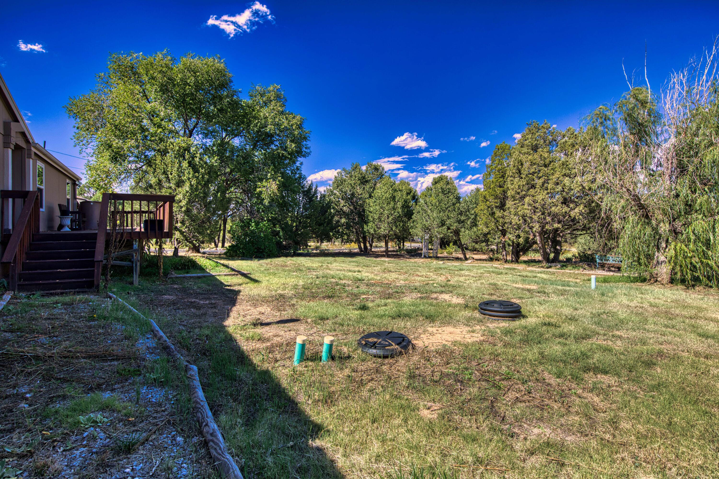 143 HOLLI Loop