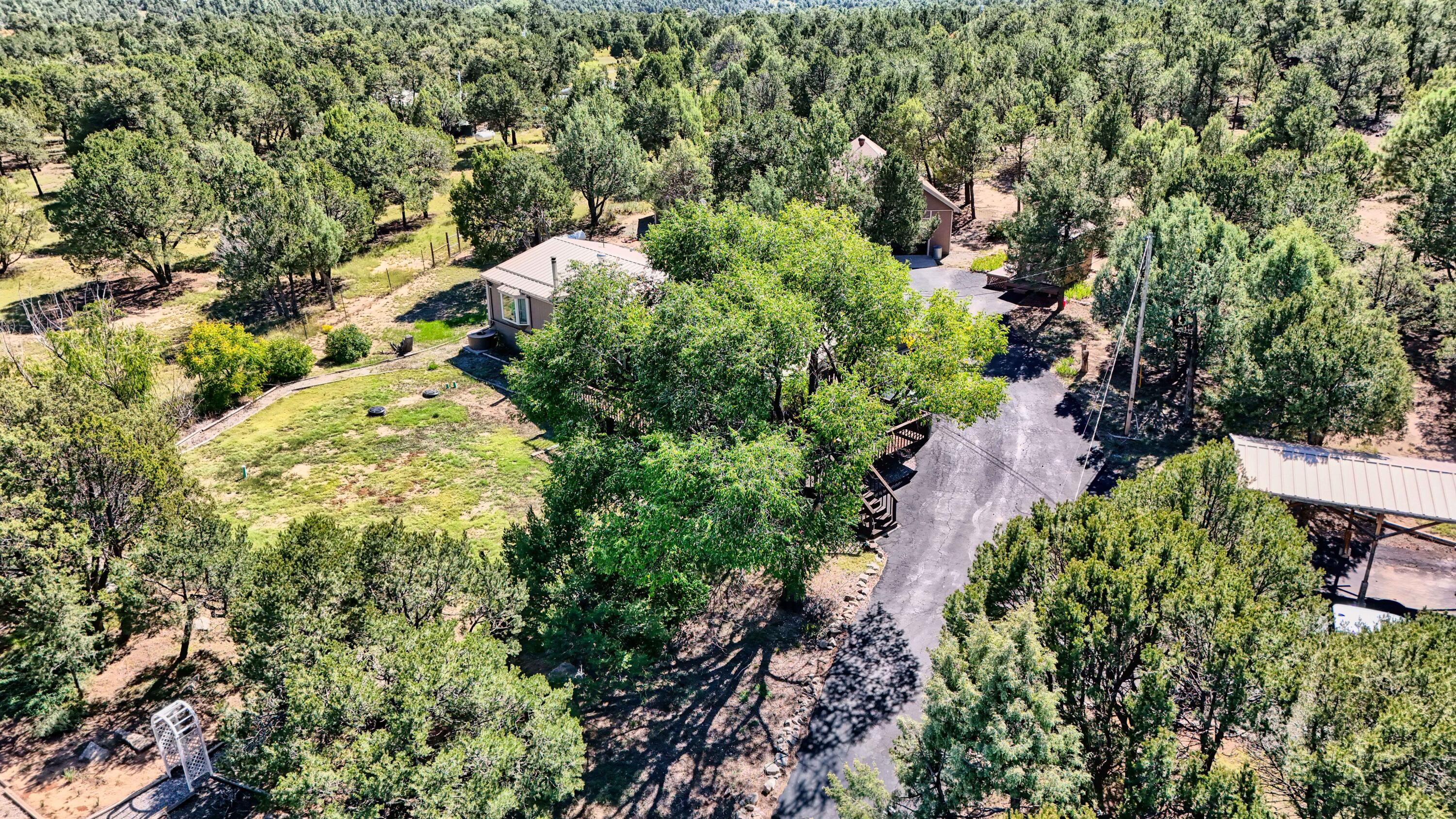 143 HOLLI Loop