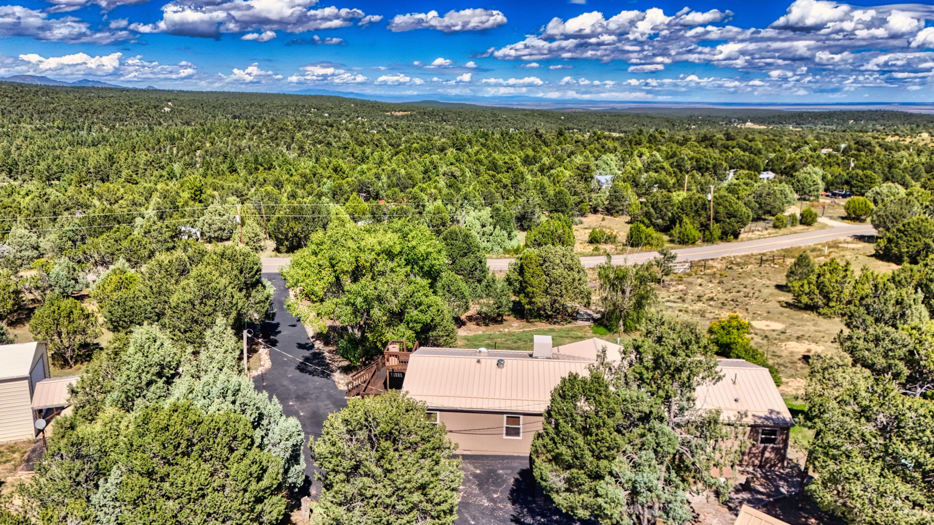 143 HOLLI Loop