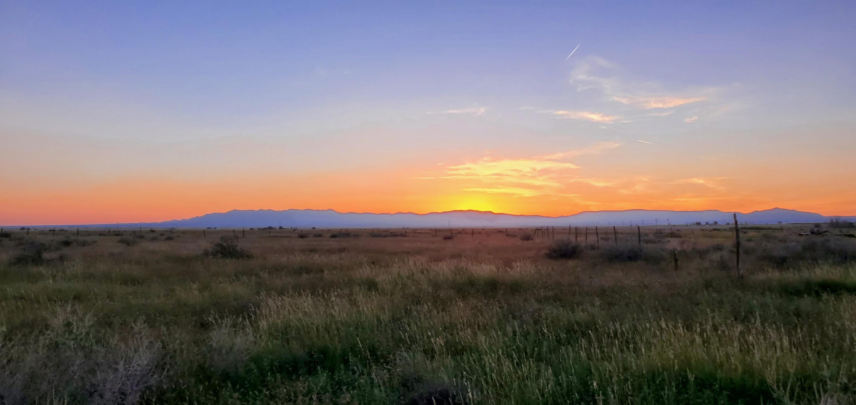 Spangler~155ac Land