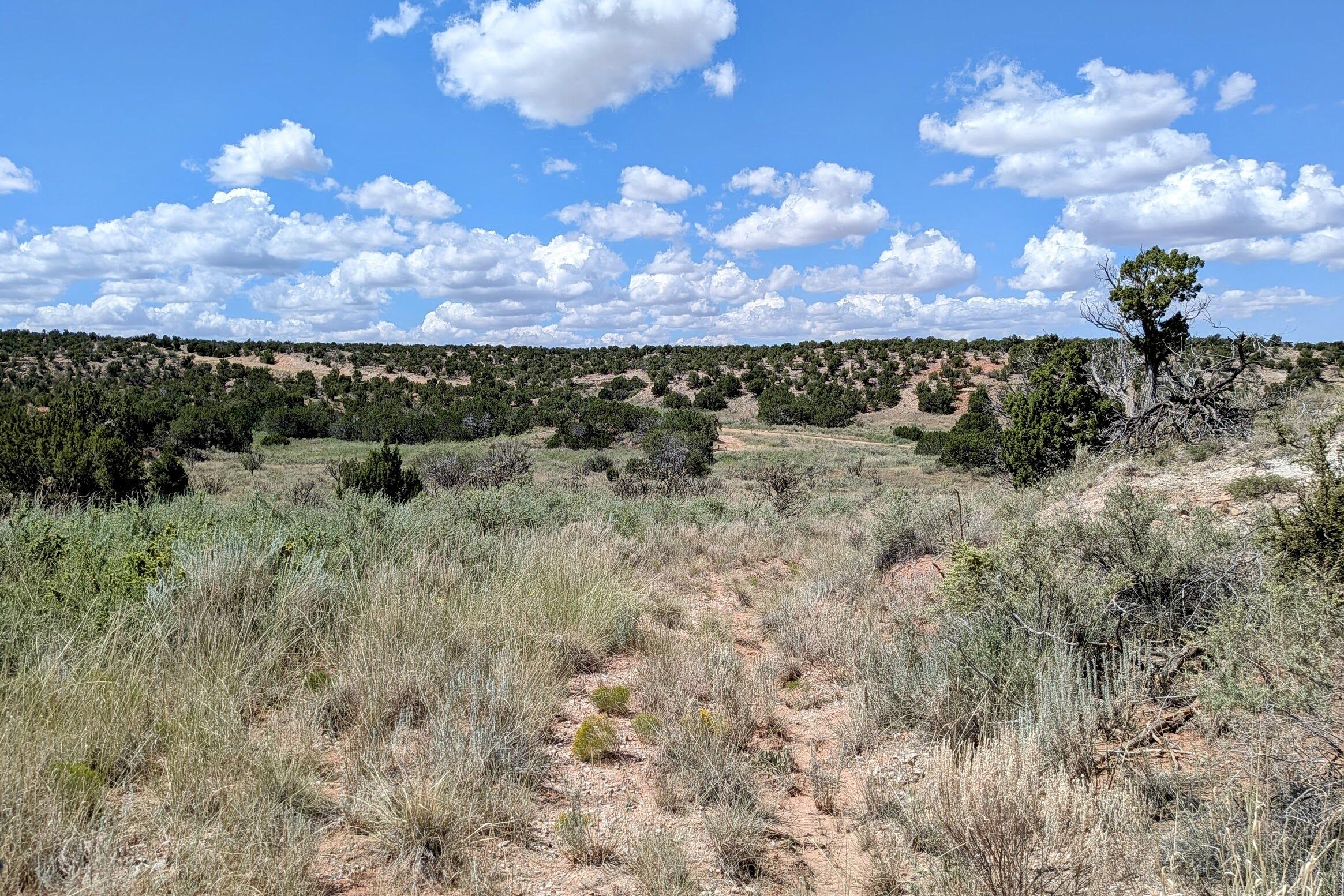 86 Victorio Trail