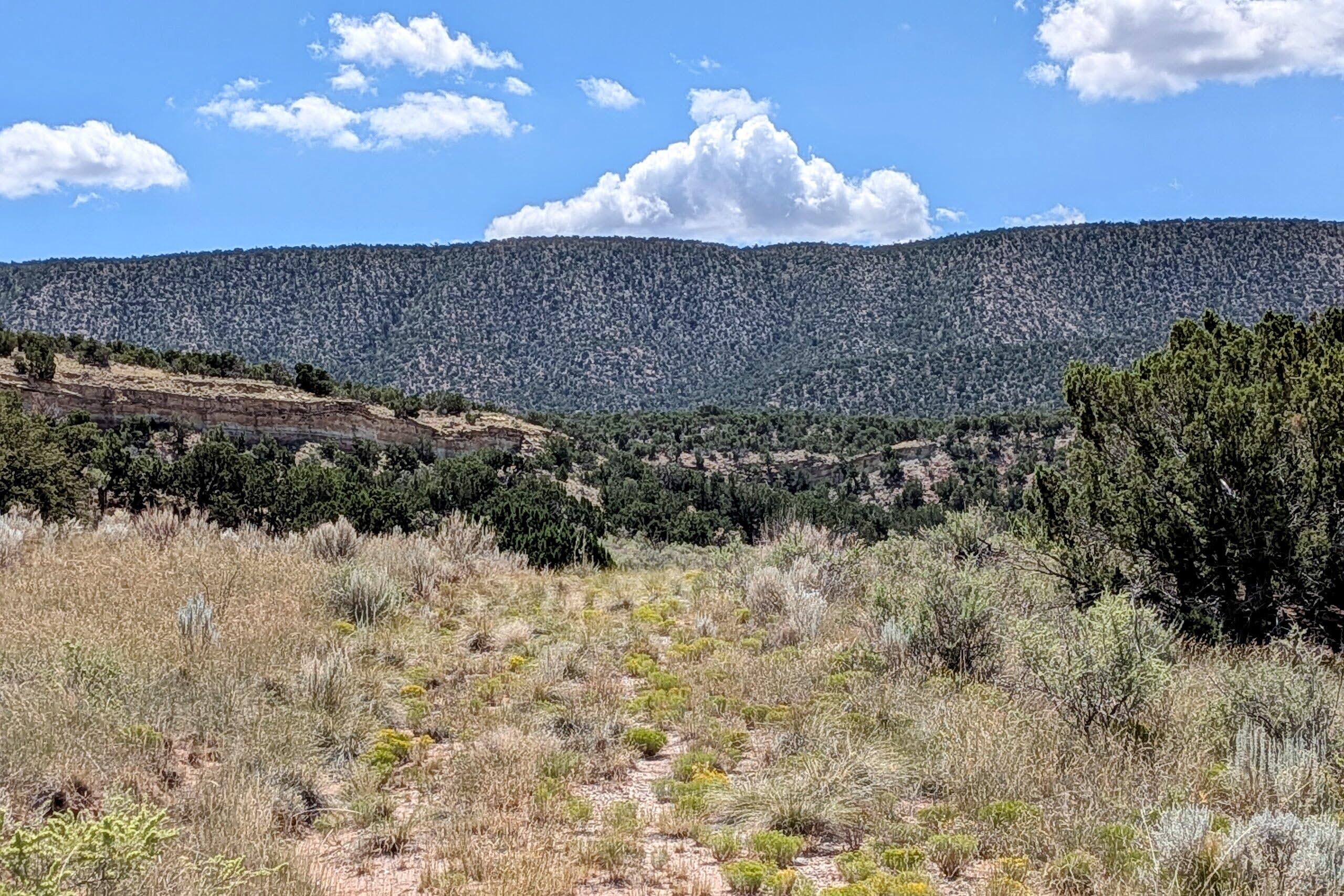 86 Victorio Trail