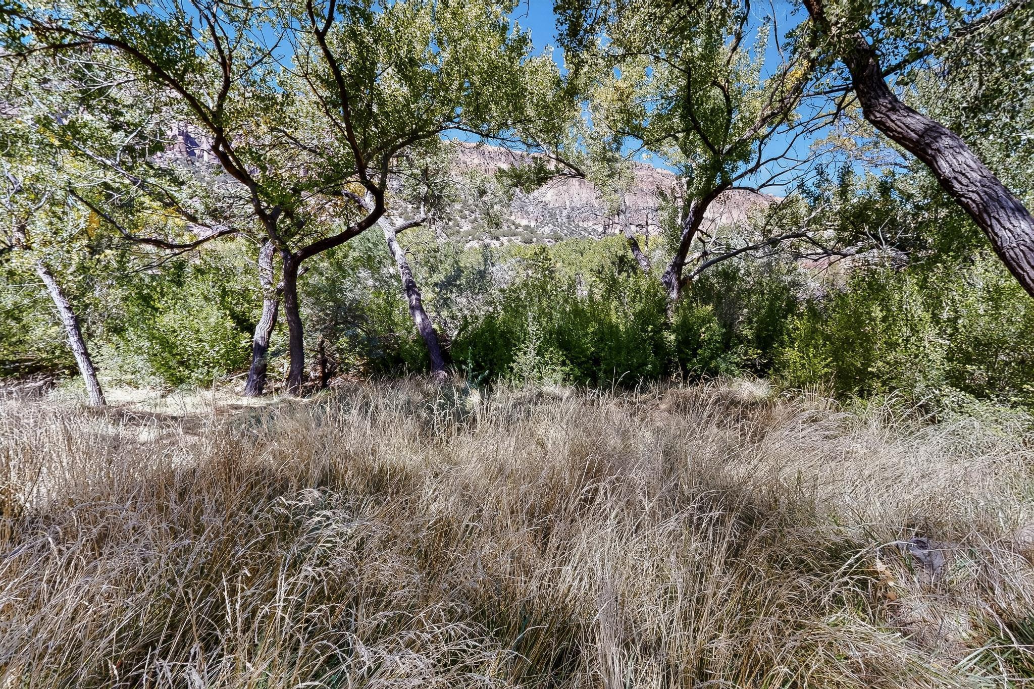 130 STUBBORN PINE Road