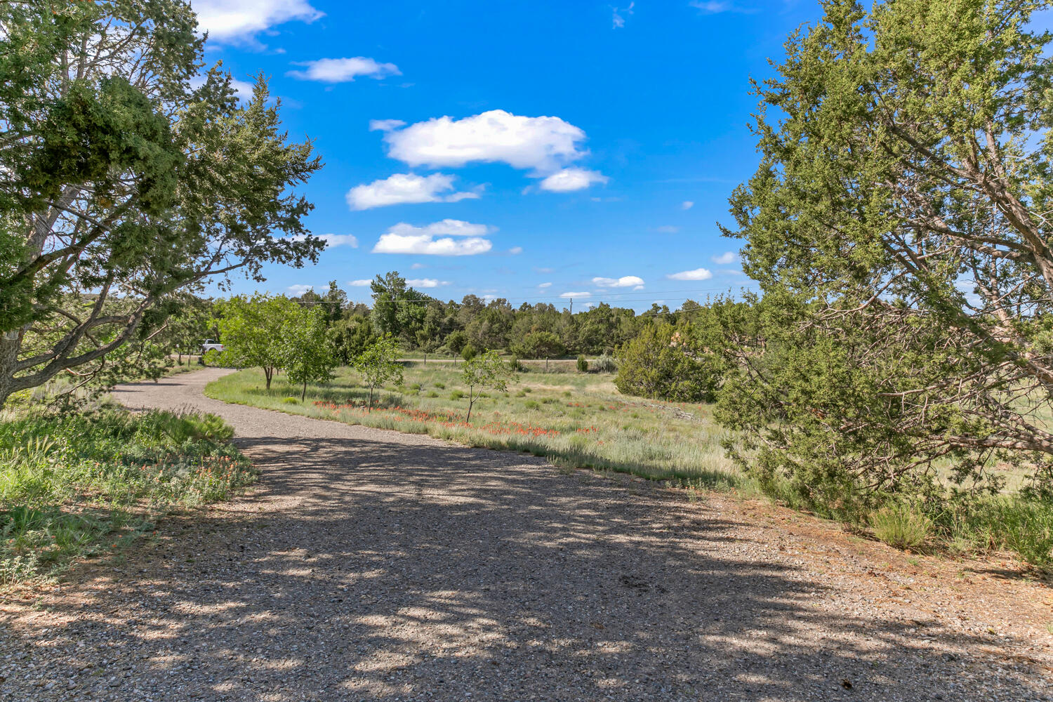 25 WILDLIFE Trail