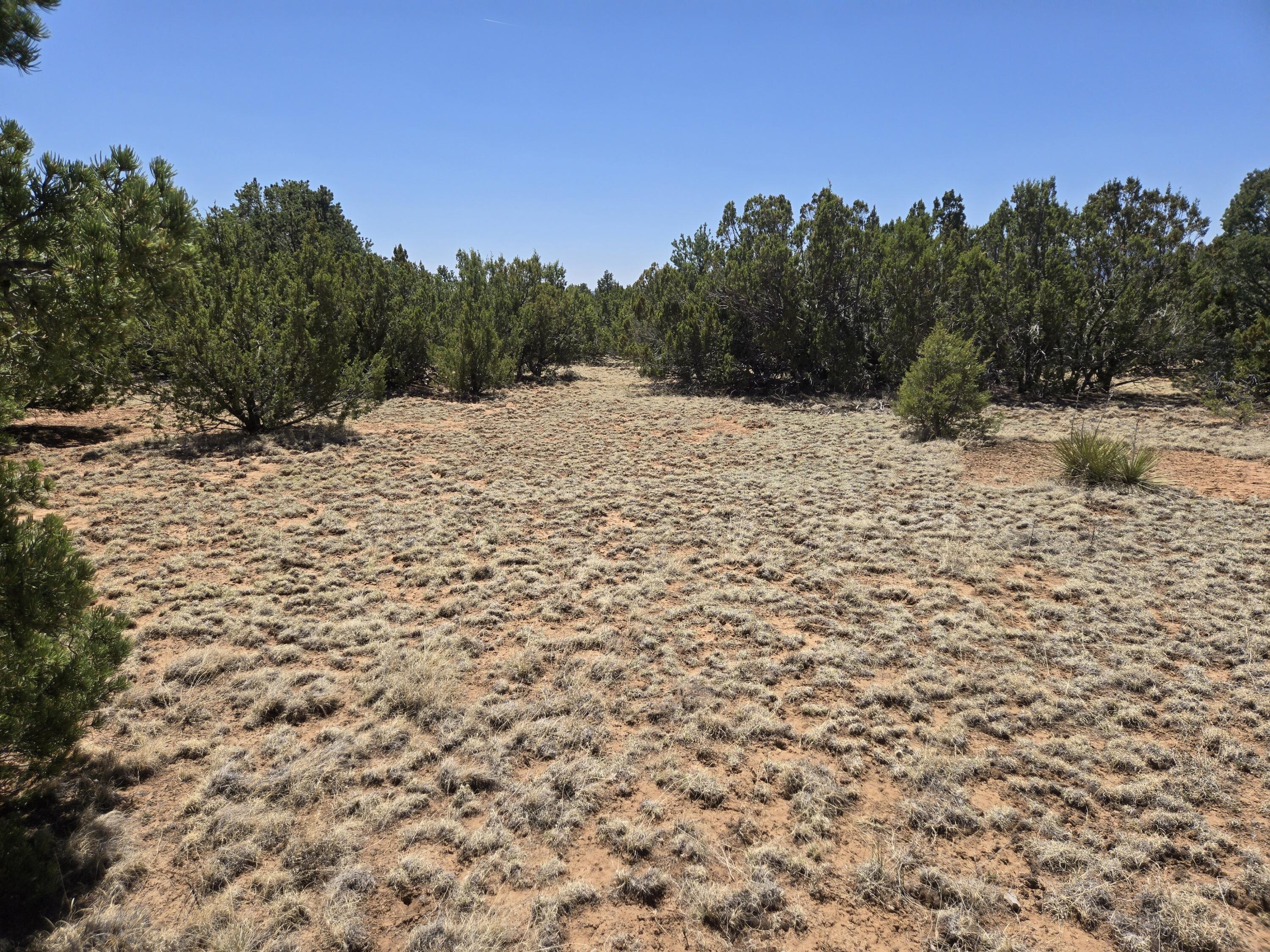 0 Rosewood Dr Lot 12, Blk D 12