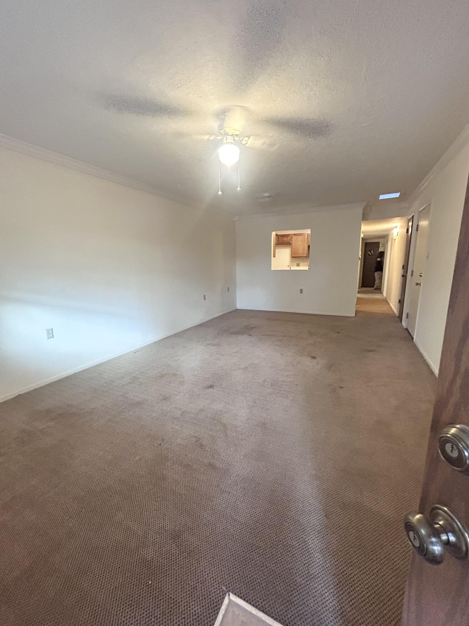 1134 MAPLE Street