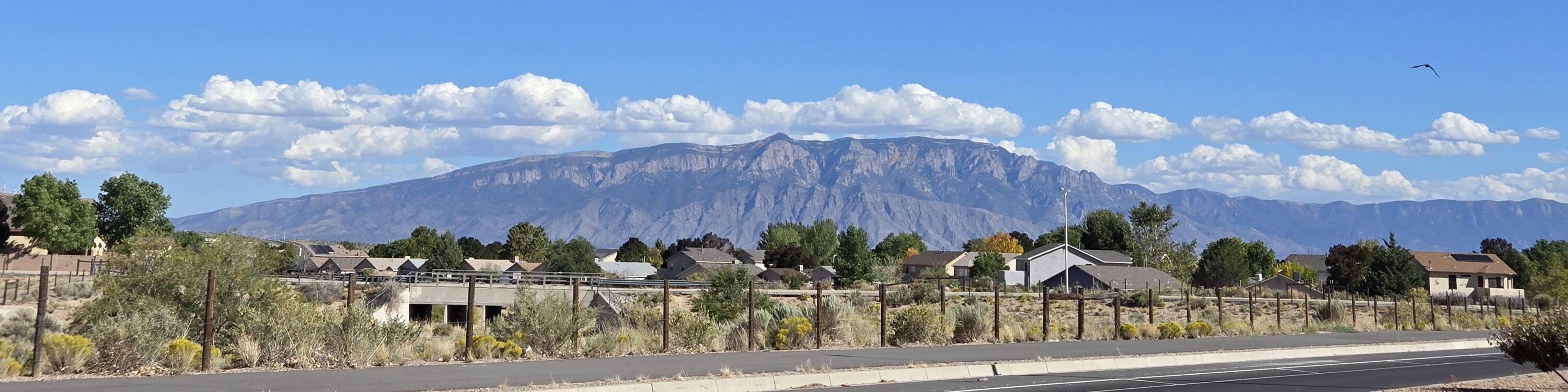 509 SOOTHING MEADOWS Drive NE