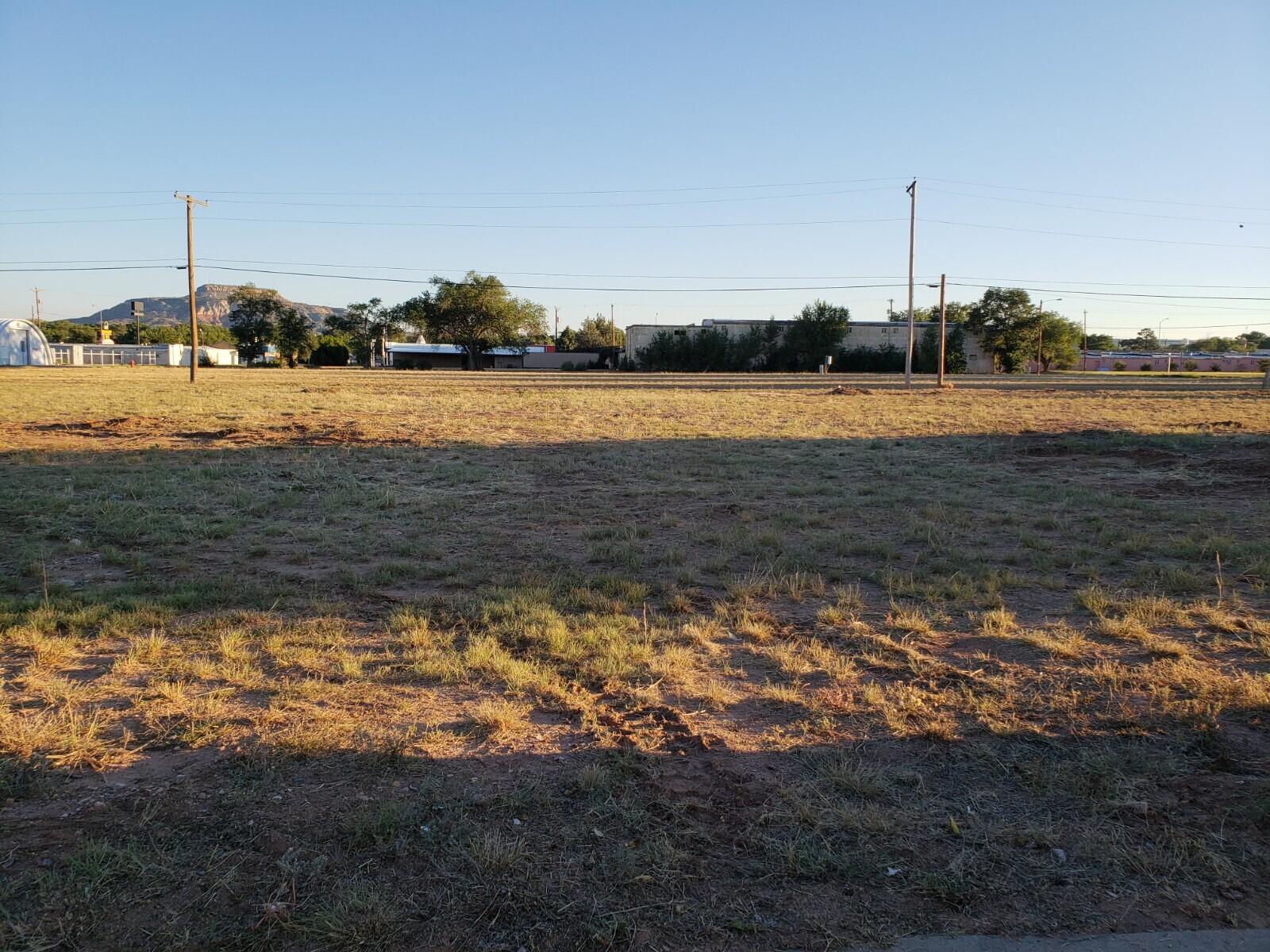 924 E LAUGHLIN Avenue