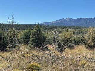 Capilla Peak Road