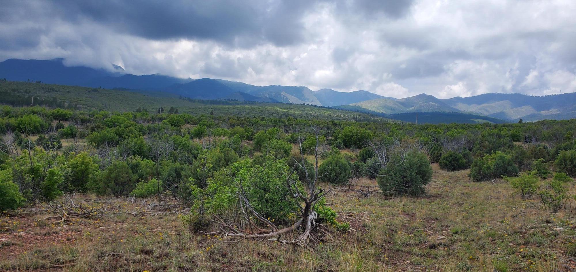Capilla Peak Road