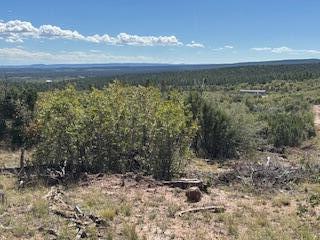 Capilla Peak Road