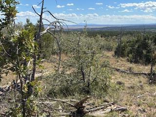 Capilla Peak Road