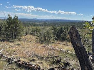 Capilla Peak Road