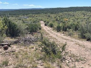 Capilla Peak Road