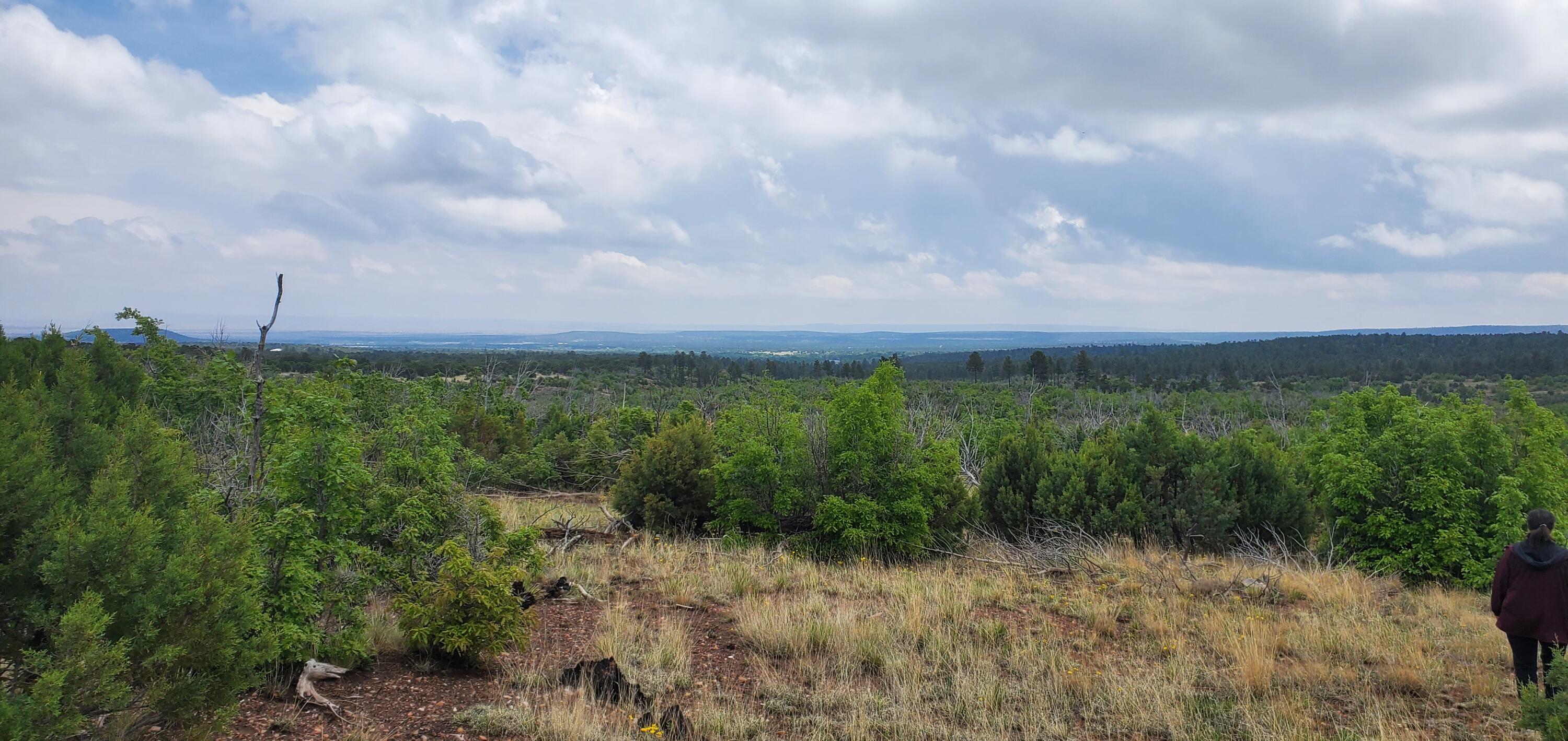 Capilla Peak Road