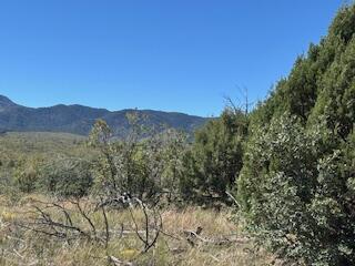 Capilla Peak Road