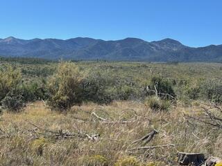 Capilla Peak Road