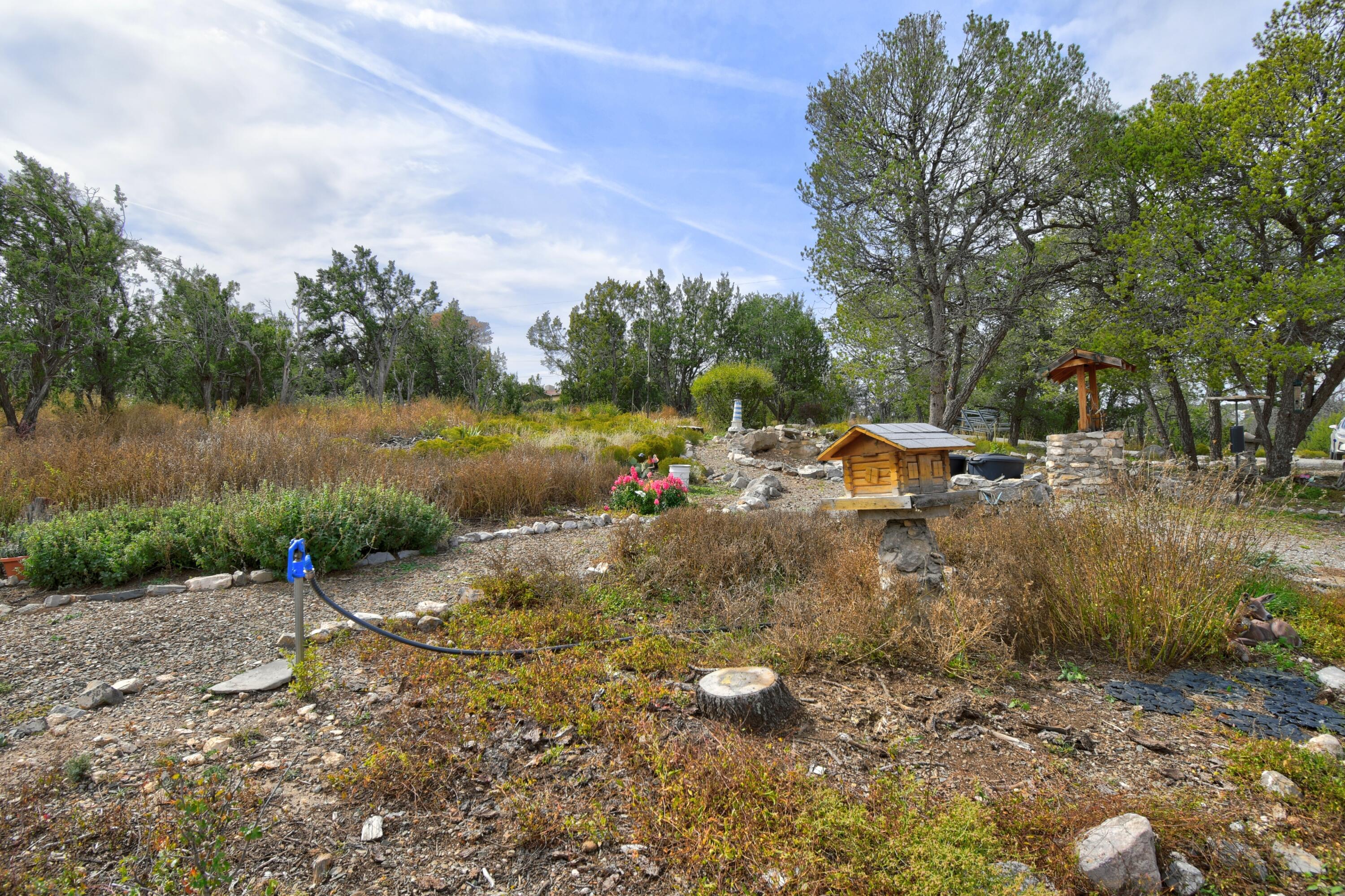 3 Cactus Trail
