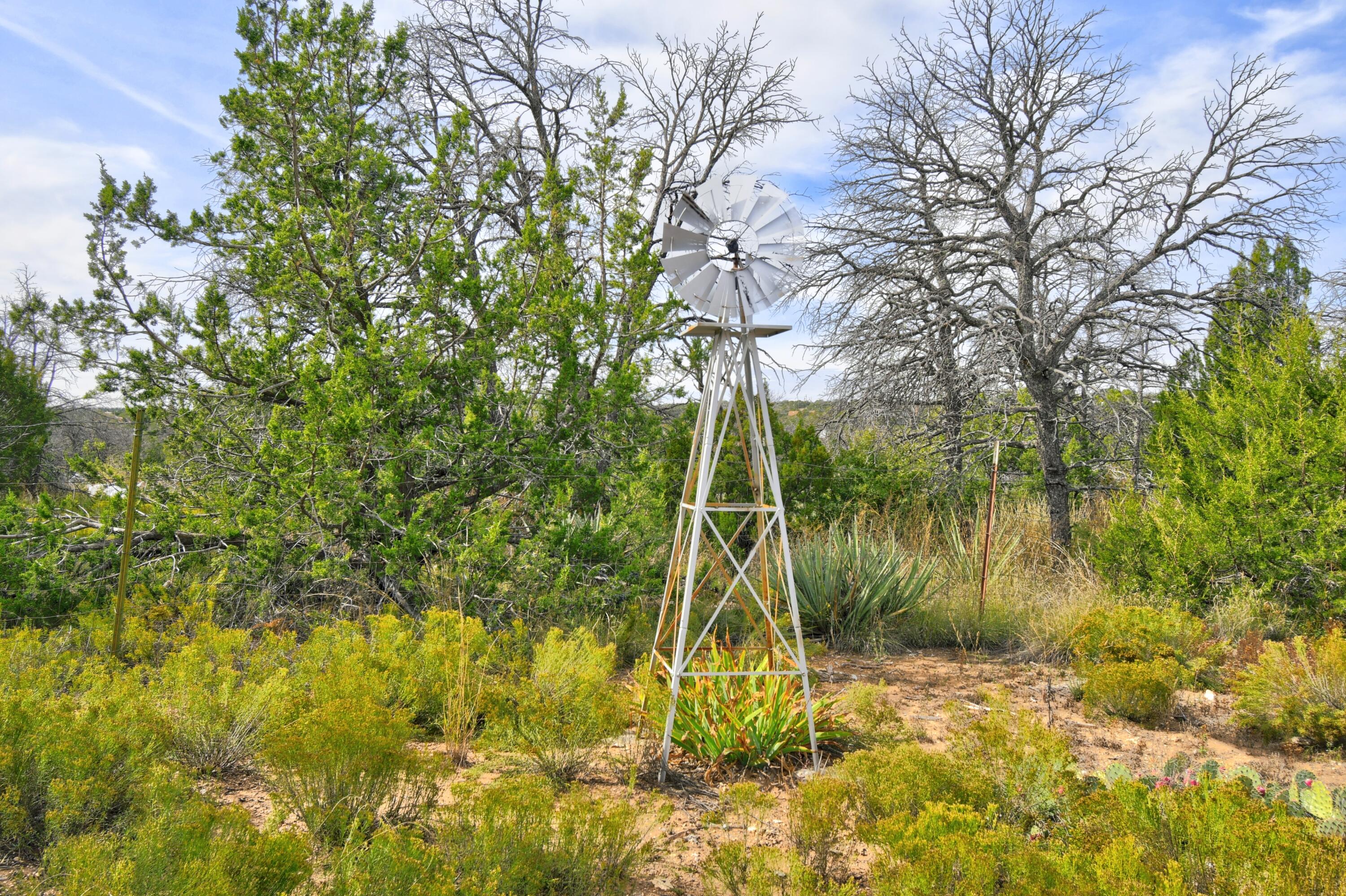 3 Cactus Trail