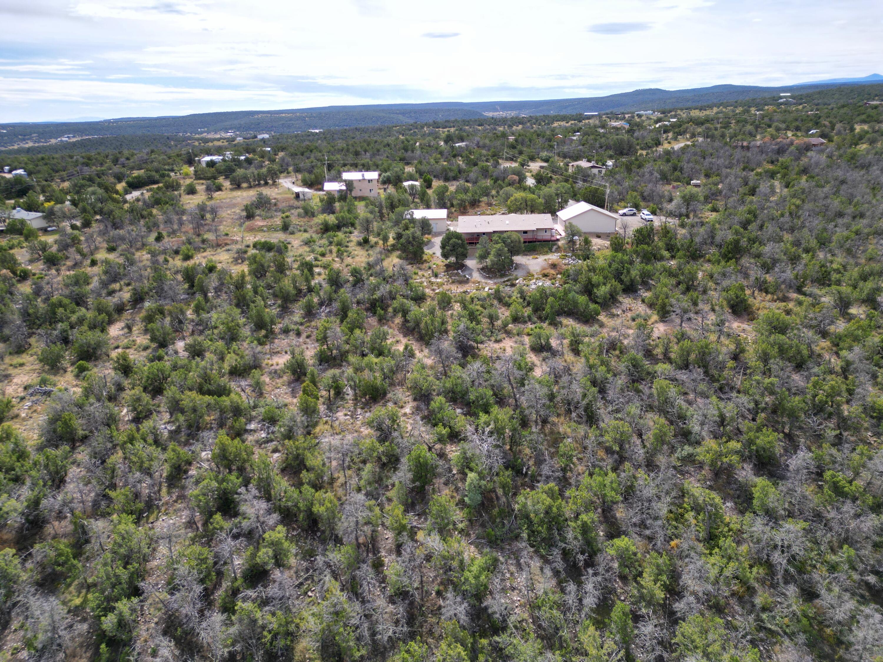 3 Cactus Trail