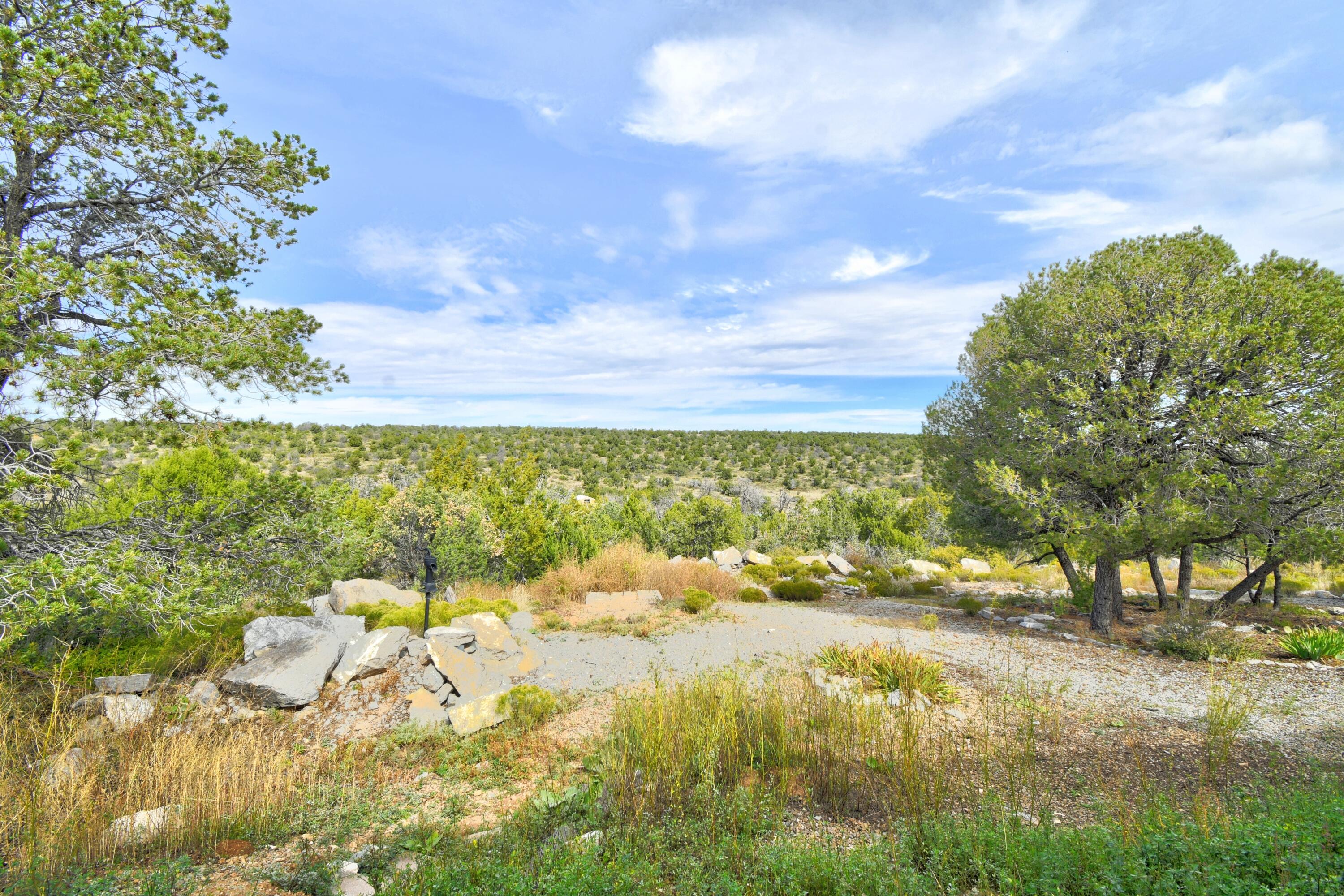 3 Cactus Trail
