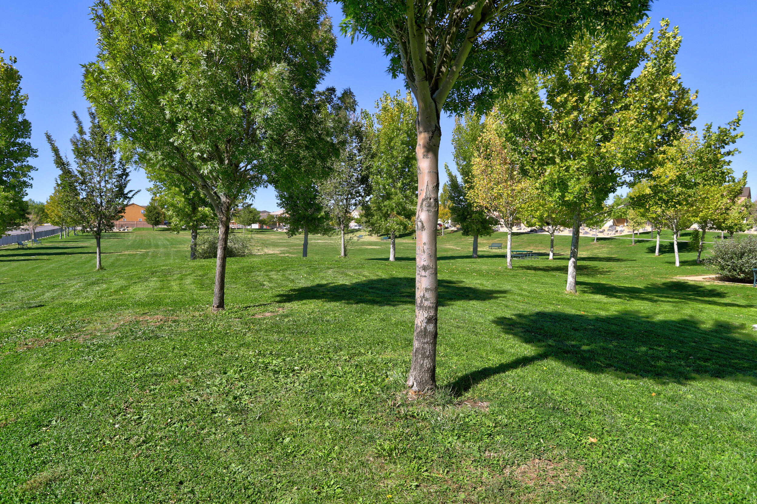 10640 Aspiration Lane SW