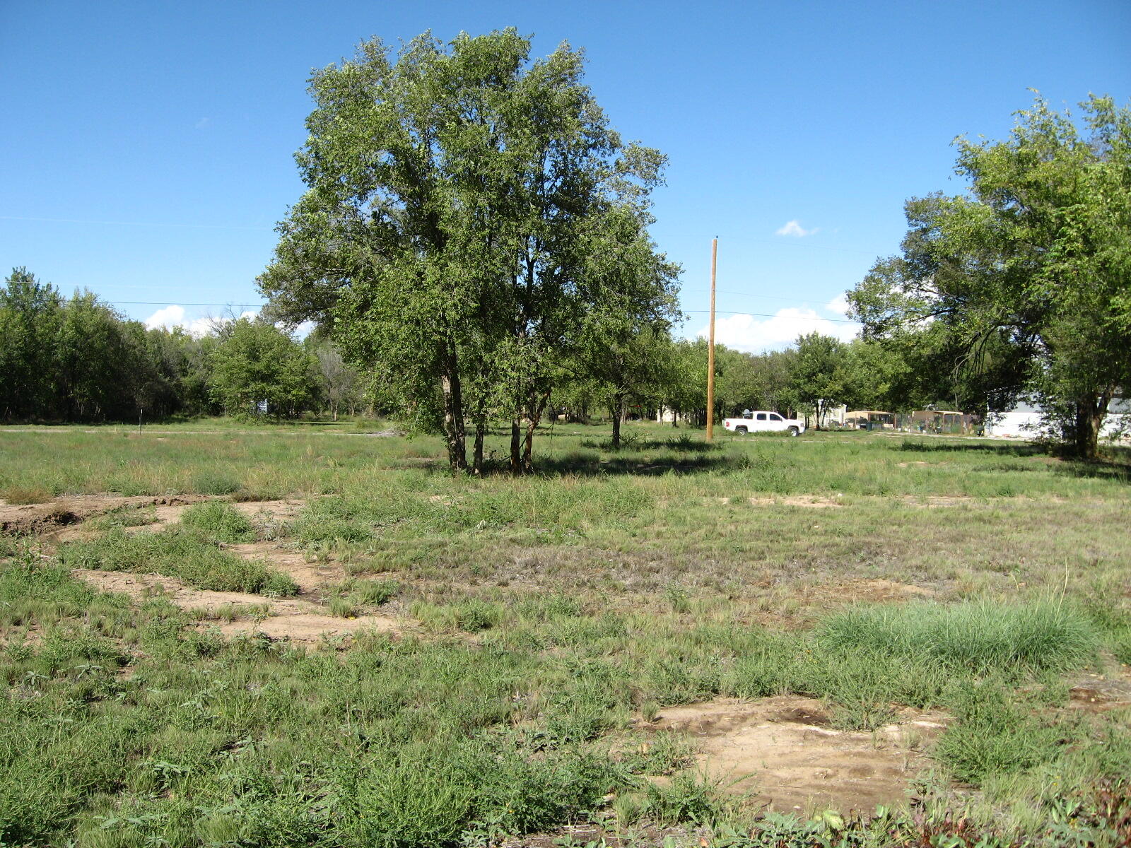 00 Forgotten Promise Tr2 Lane