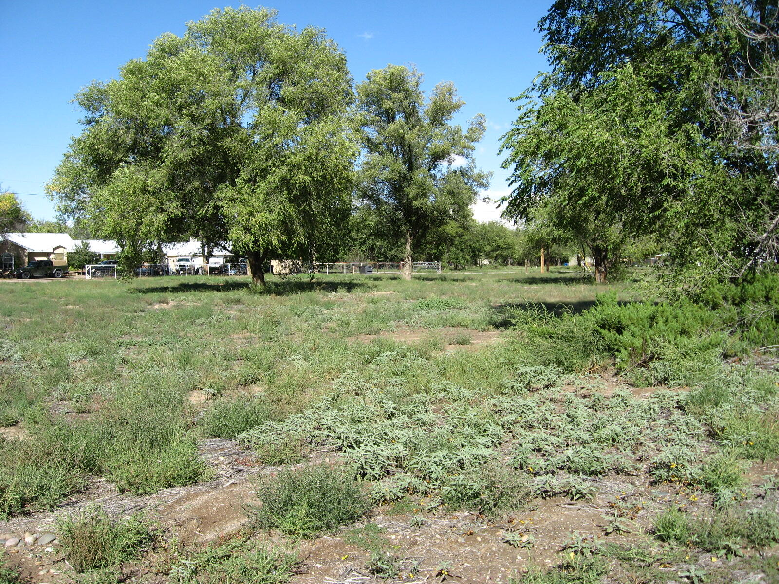 00 Forgotten Promise Tr2 Lane