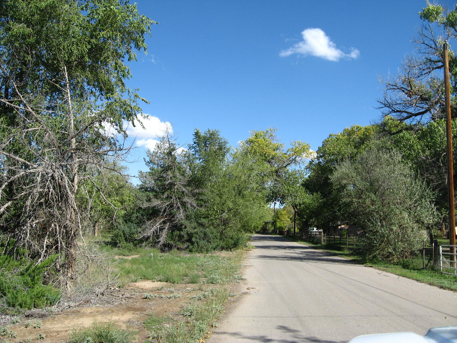 00 Forgotten Promise Tr2 Lane