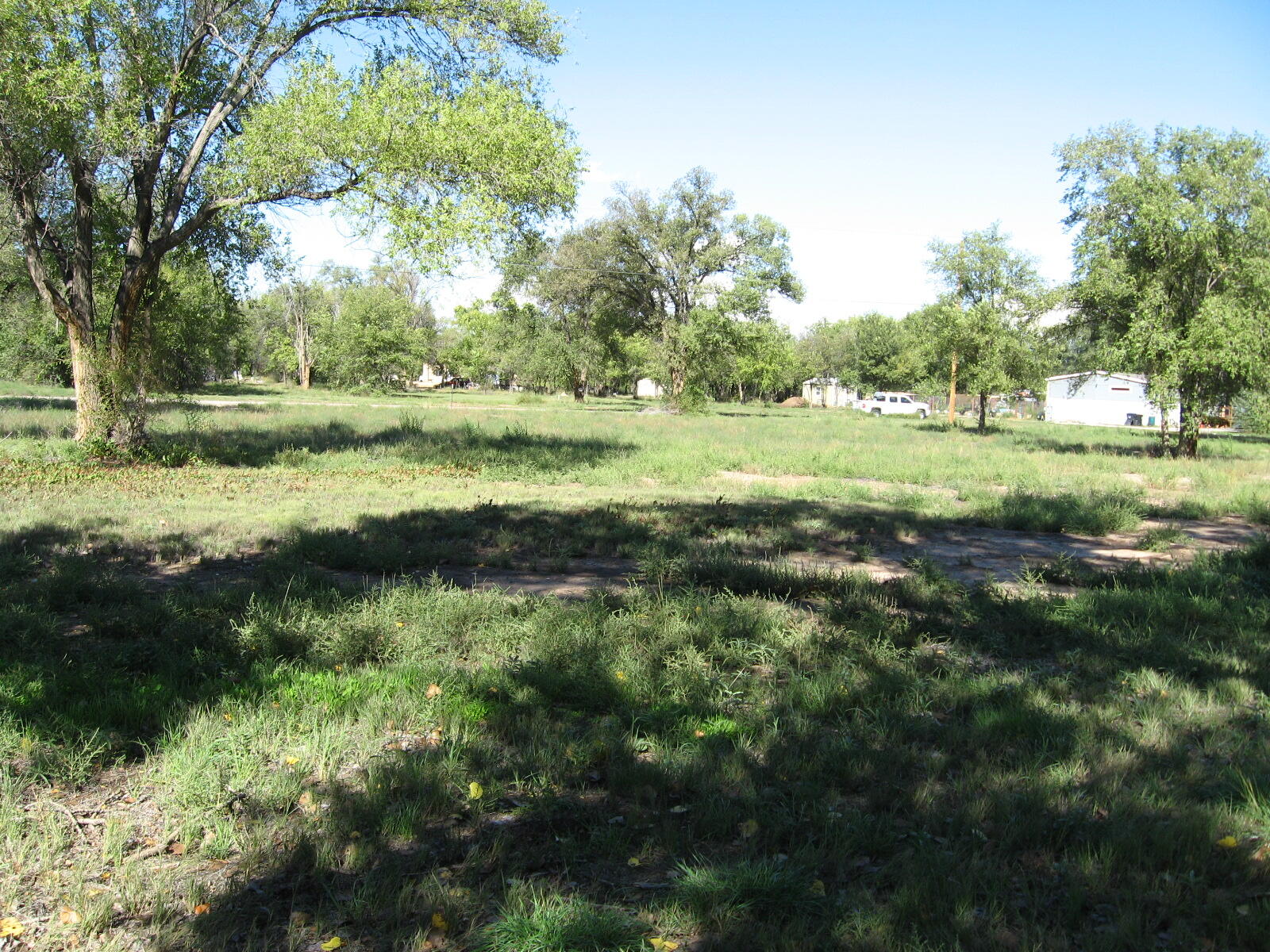 00 Forgotten Promise Tr2 Lane