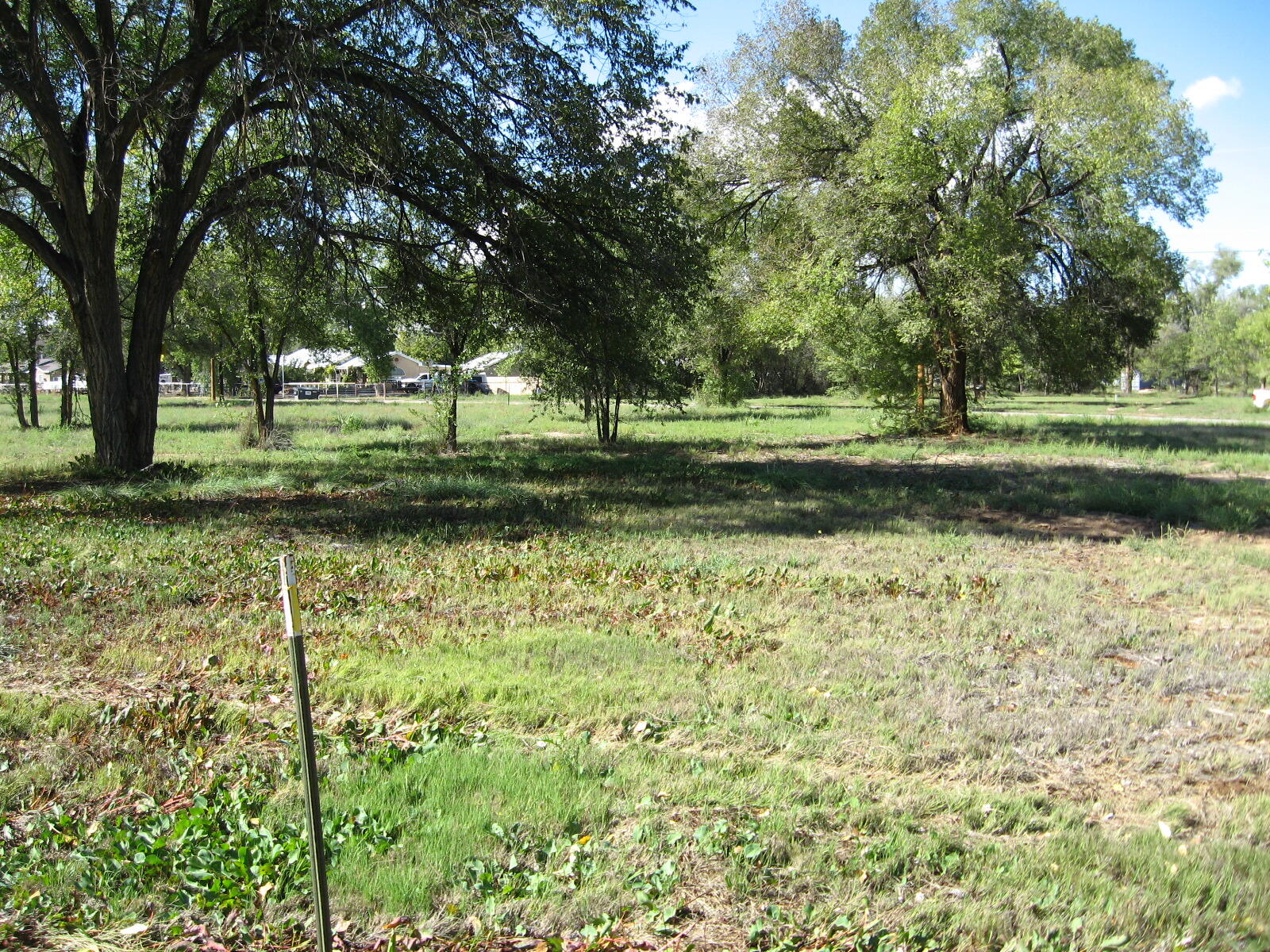 0 Forgotten Promise Tr4 Lane